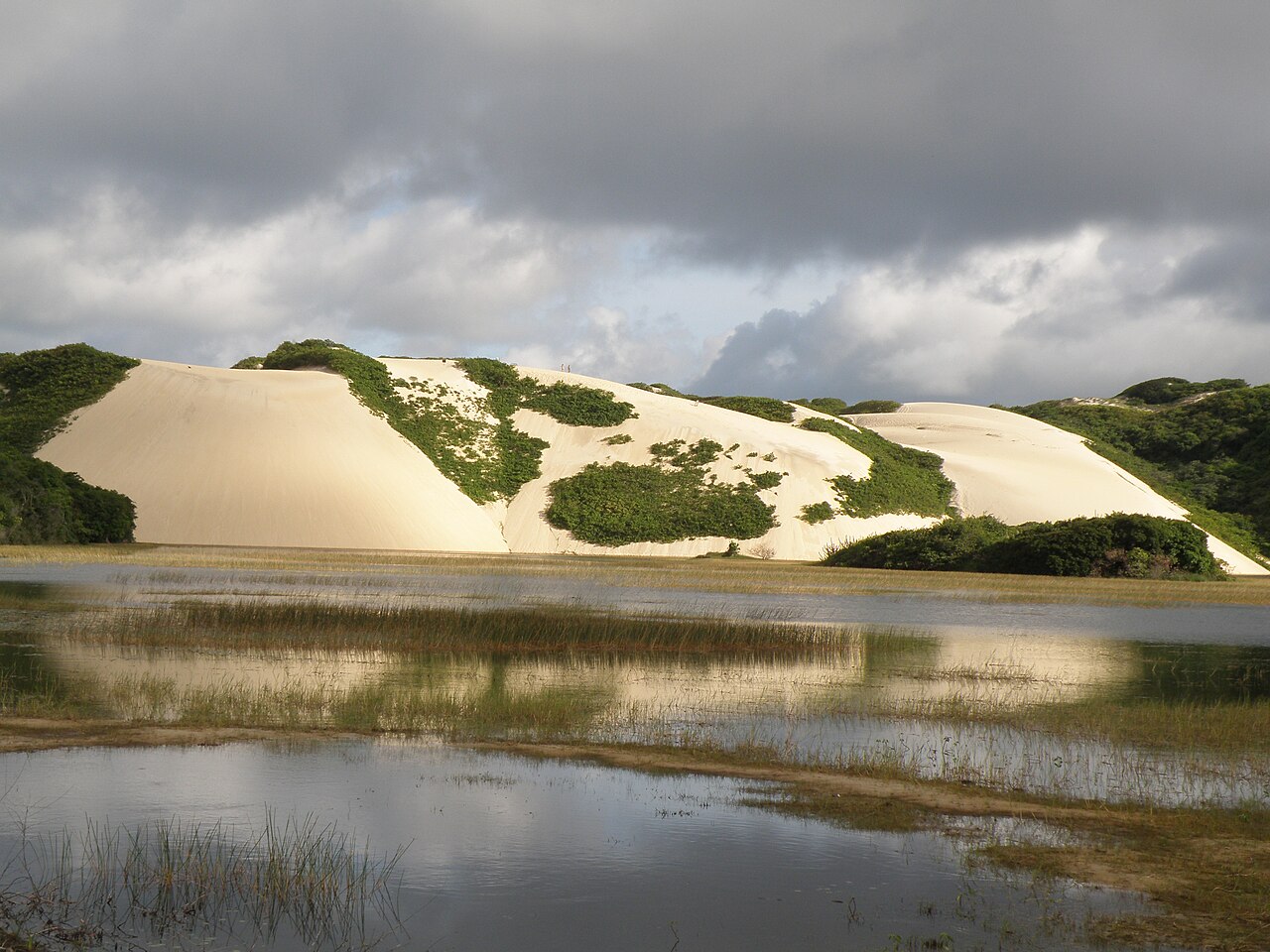 Foto de Dunas de Genipabu (3)