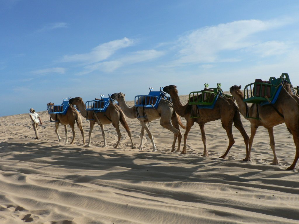 Foto de Dunas de Genipabu (4)