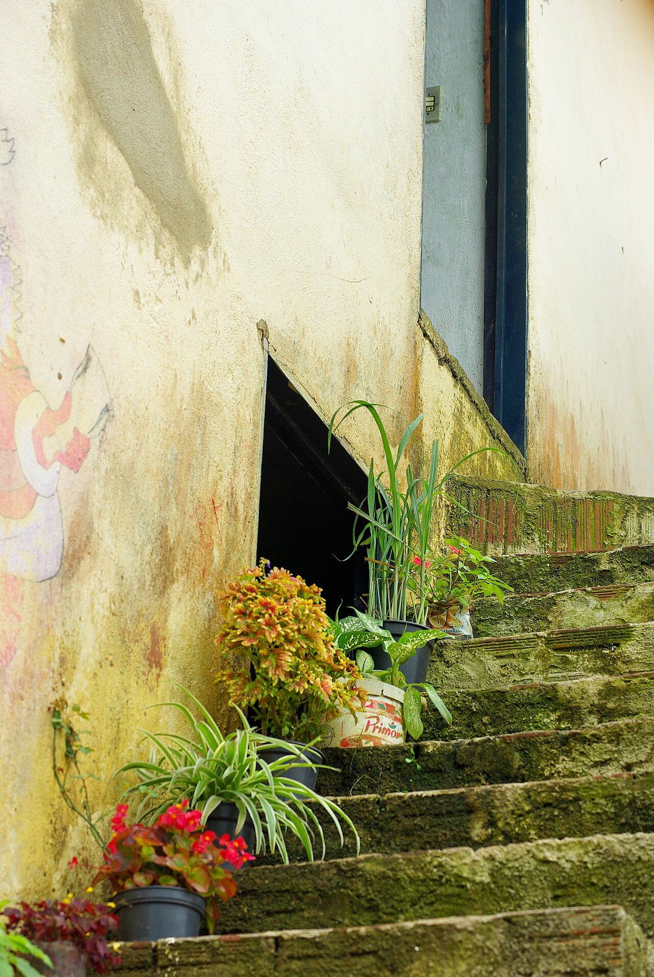 Foto de Guaramiranga (4)