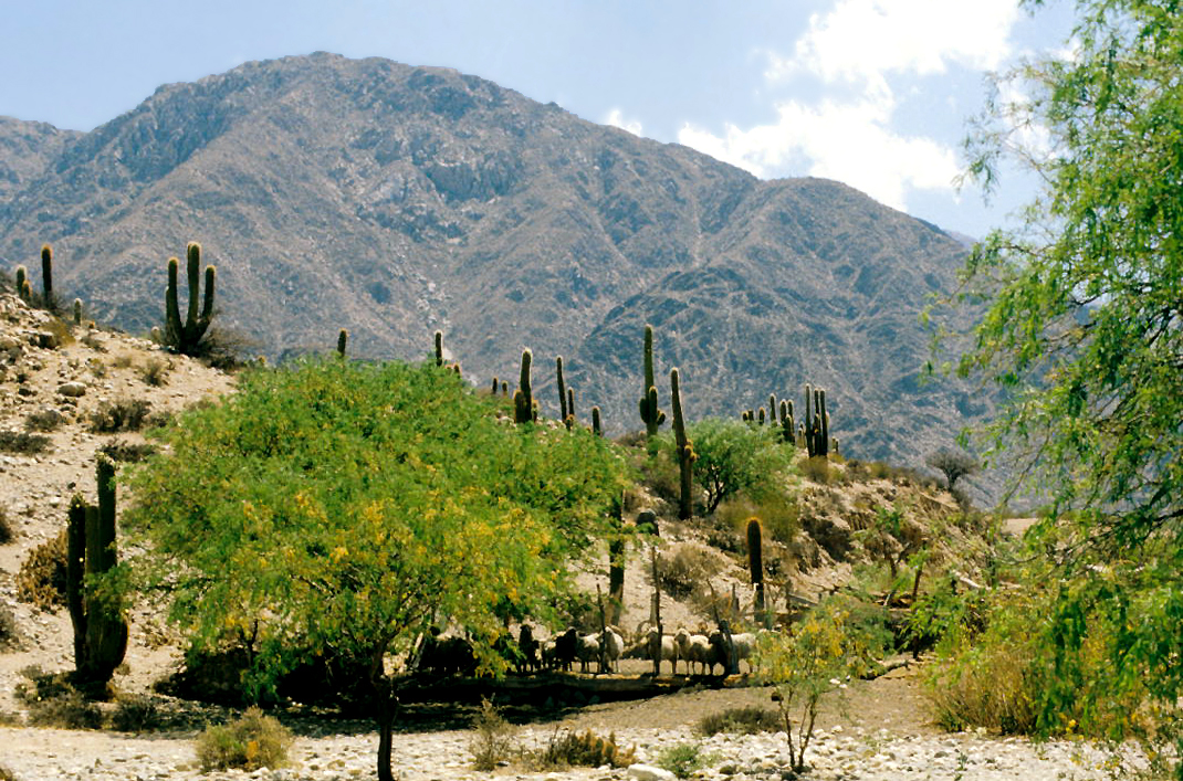 Foto de RN40: Cachi → Molinos por los Valles Calchaquíes (4)