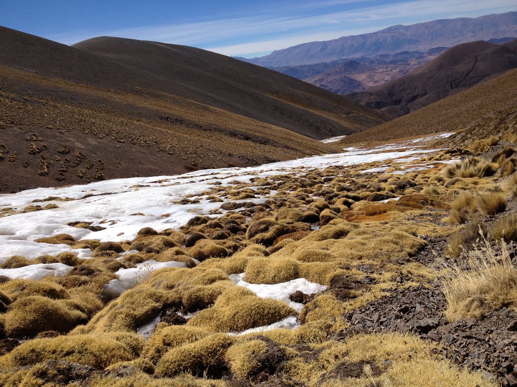 Foto de RN40: La Poma → San Antonio de los Cobres por el Abra del Acay (3)