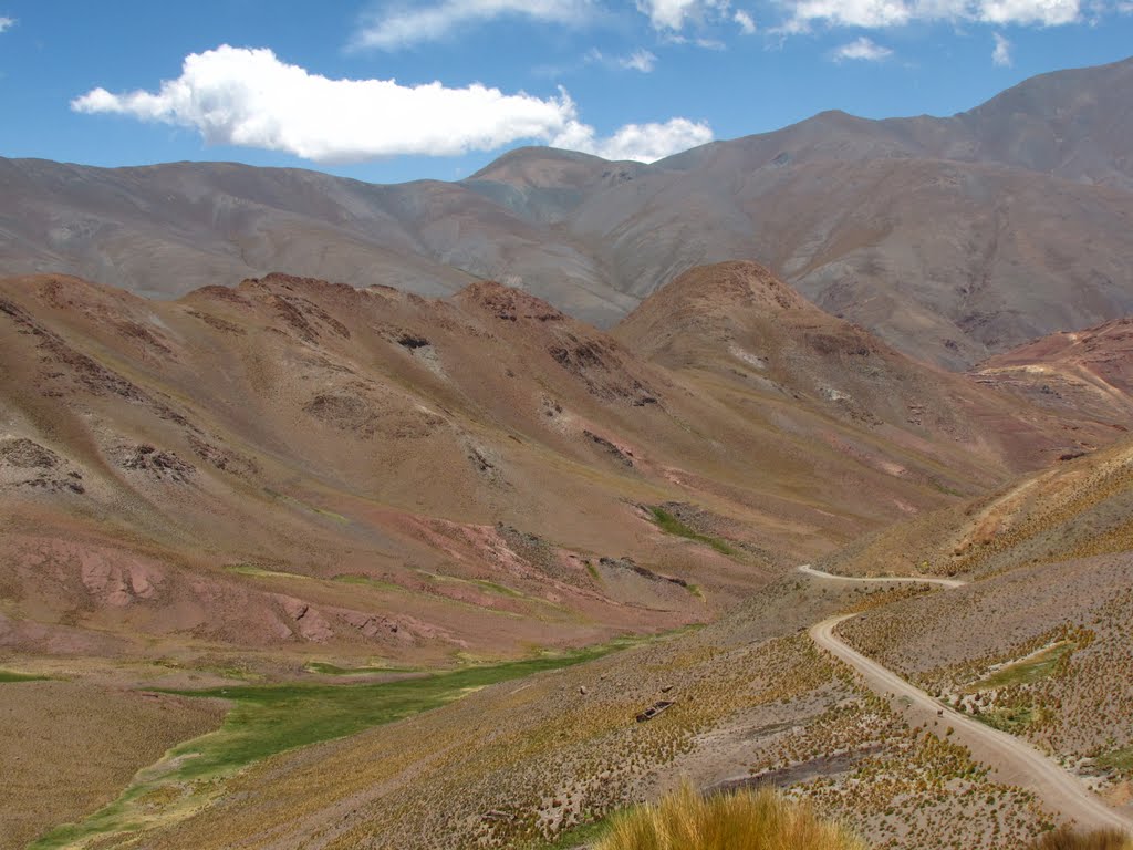 Foto de RN40: La Poma → San Antonio de los Cobres por el Abra del Acay (4)