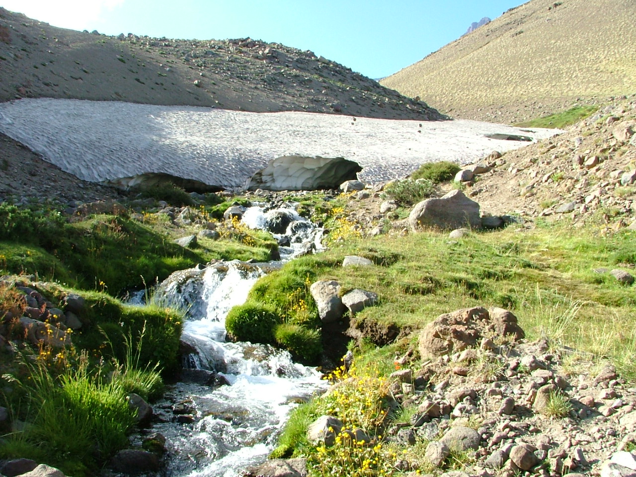 Foto de RN145: Bardas Blancas → Paso Pehuenche por el valle del río Grande (3)