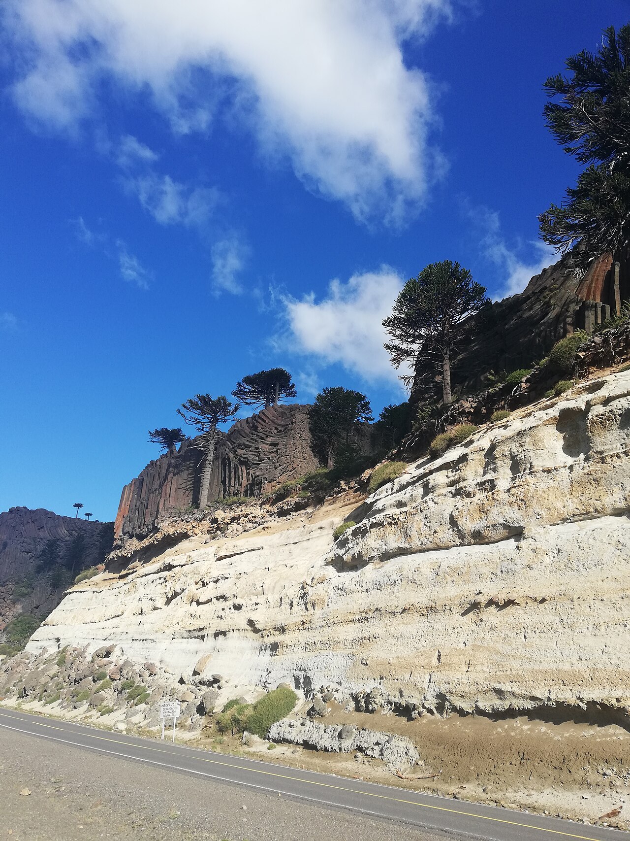 Photo of RN242: Las Lajas → Paso Pino Hachado (5)