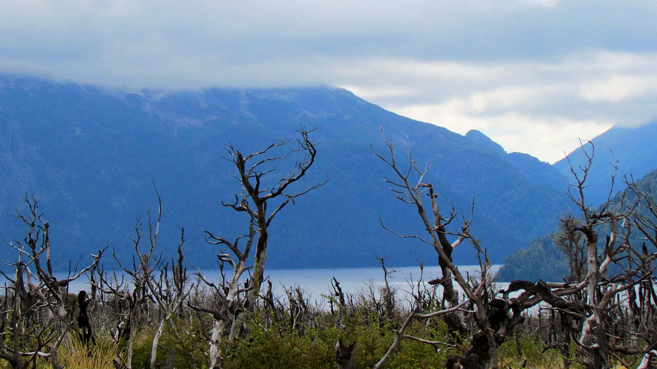 Photo of RP60: Junín de los Andes → Paso Mamuil Malal por el lago Tromen (3)