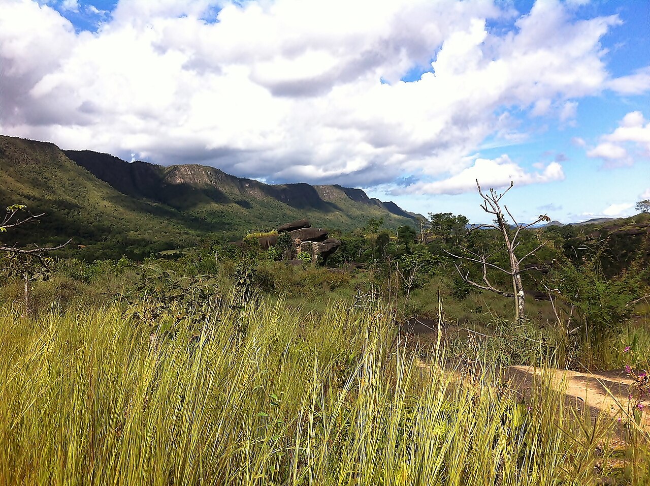 Foto de Parque Nacional da Chapada dos Veadeiros (4)