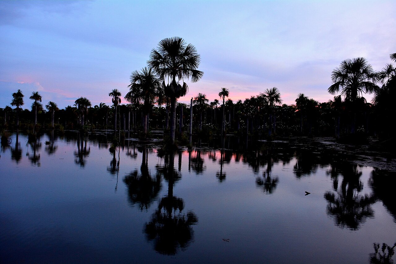 Photo of Lagoa das Araras (5)