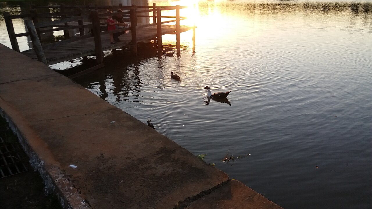 Foto de Parque das Nações Indígenas (4)