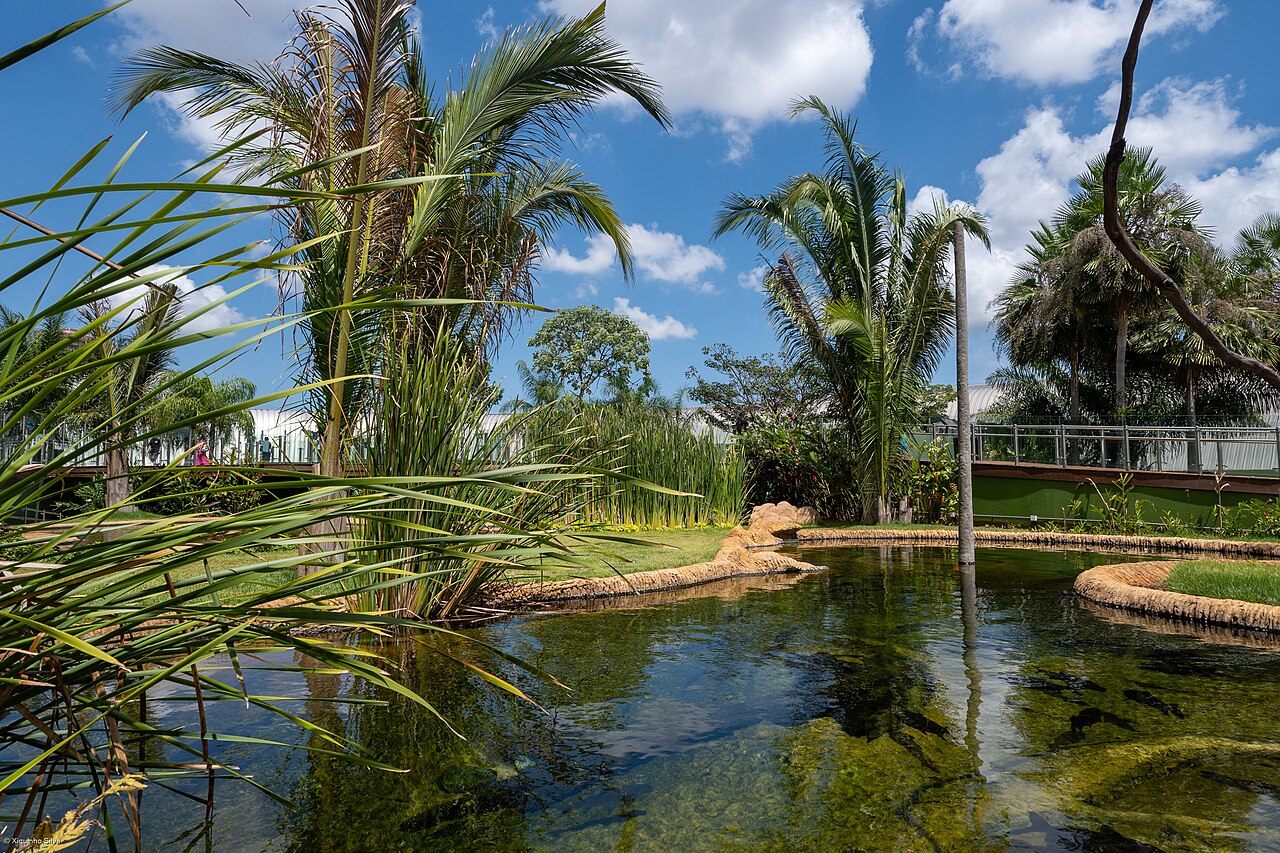 Foto de Bioparque Pantanal (5)