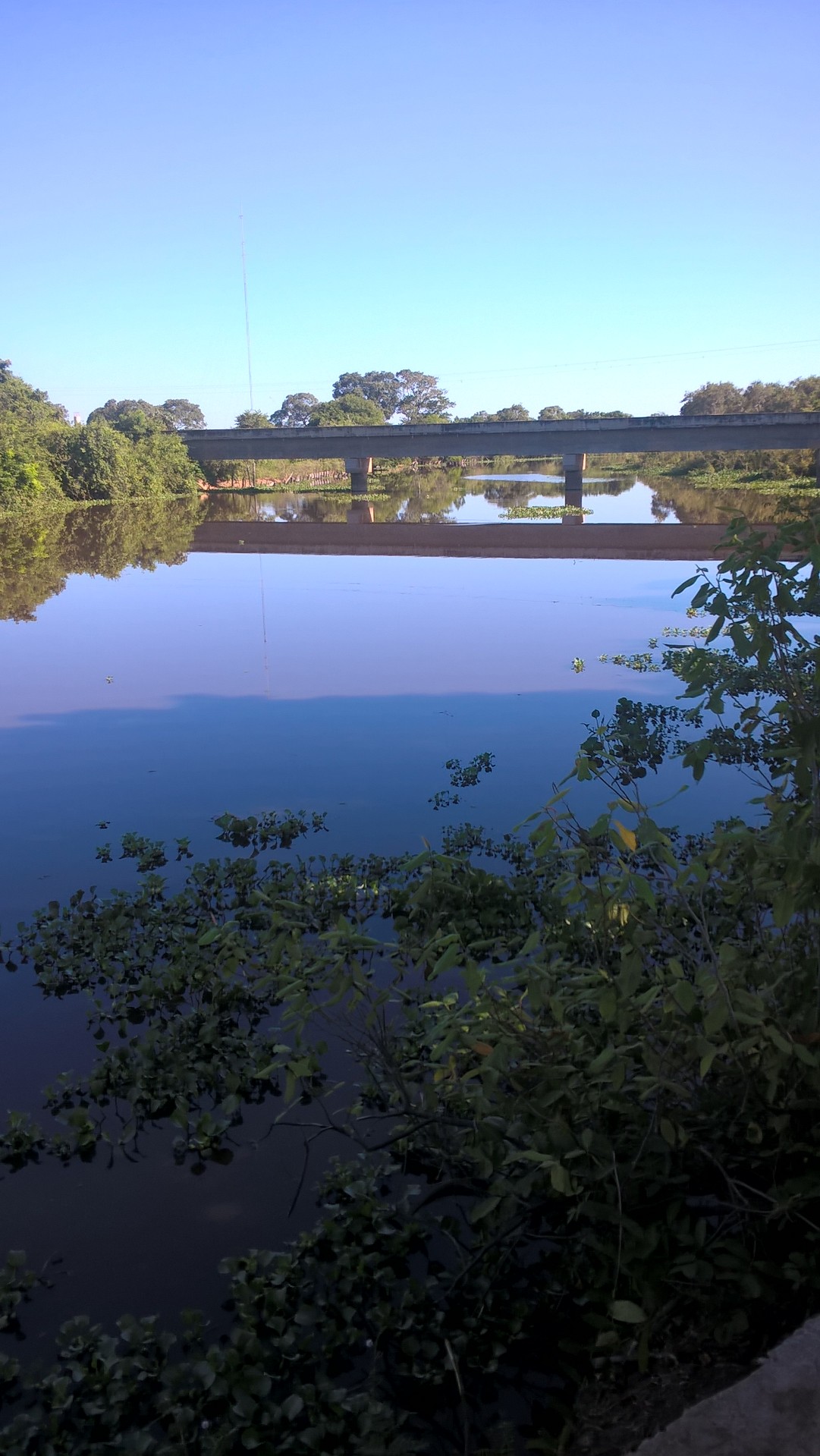 Photo of MT-060: Poconé → Porto Jofre por la Transpantaneira (4)