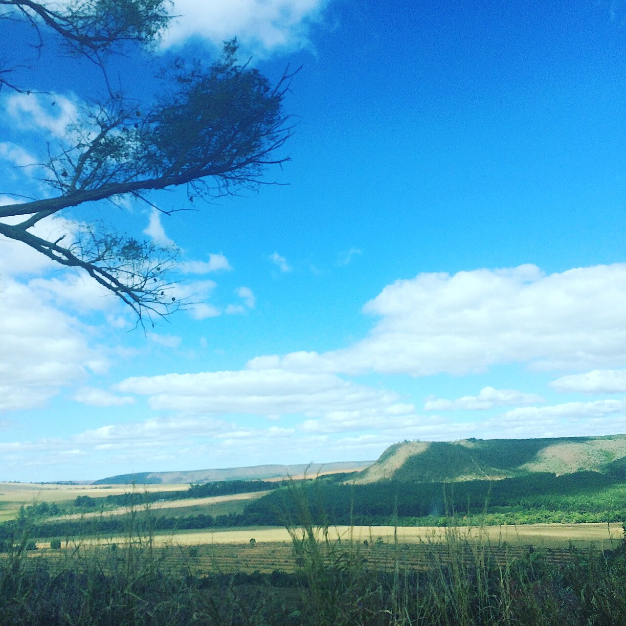 Photo of GO-239: Alto Paraíso → São Jorge por la Chapada dos Veadeiros (5)