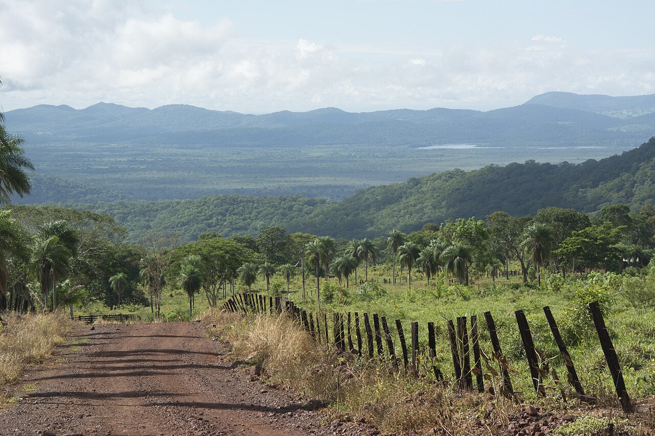 Foto de MS-184/MS-228: Buraco das Piranhas → Porto da Manga por la Estrada Parque Pantanal (3)