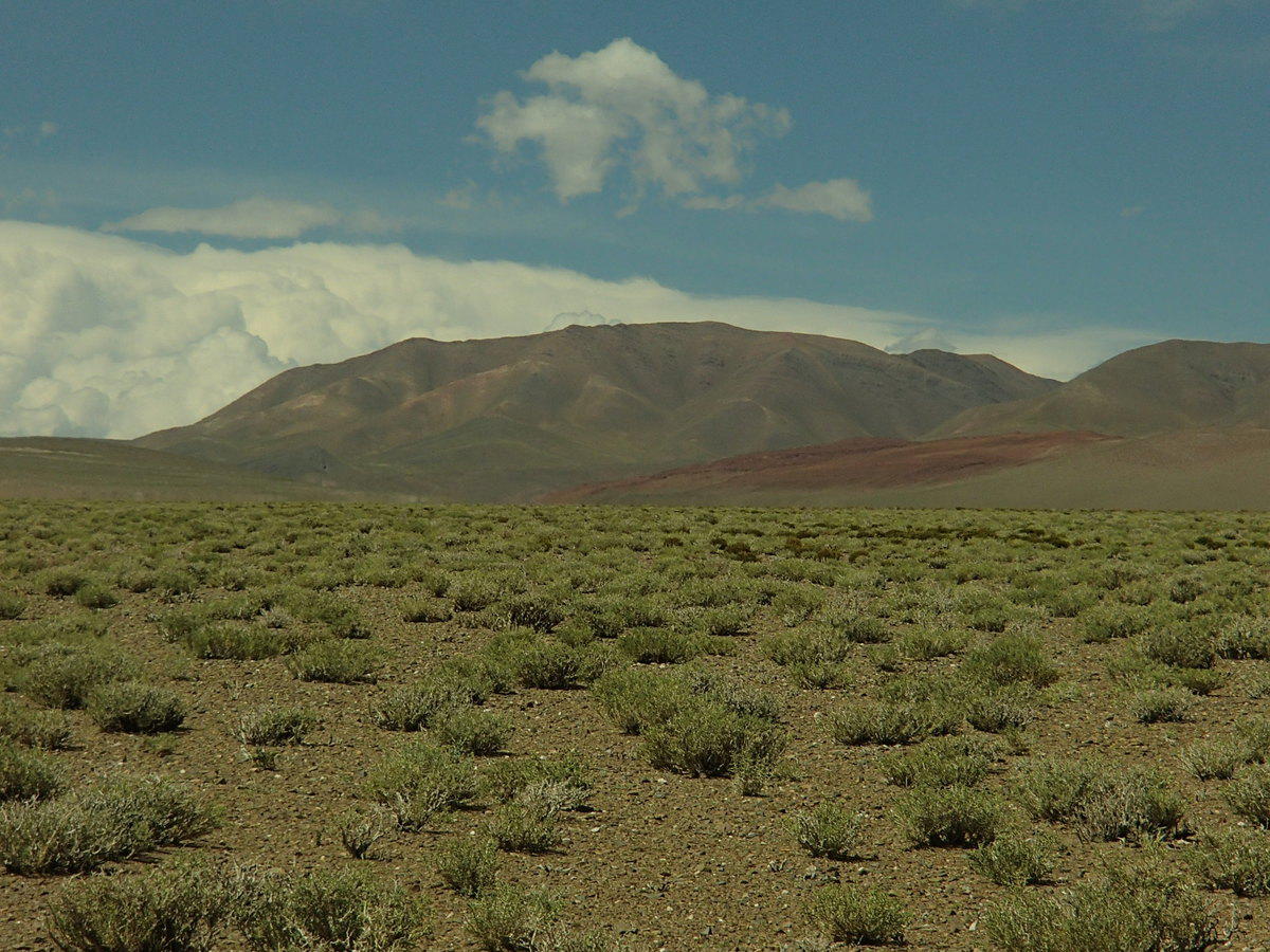Foto de RN51: San Antonio de los Cobres → Paso Sico por la Puna (3)