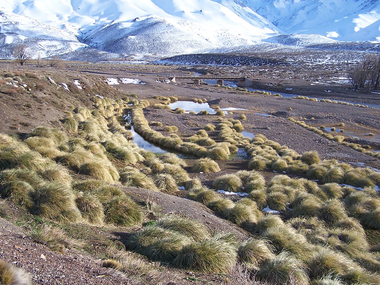 Foto de RP222: cruce de la RN40 → Las Leñas por el valle del río Salado (3)