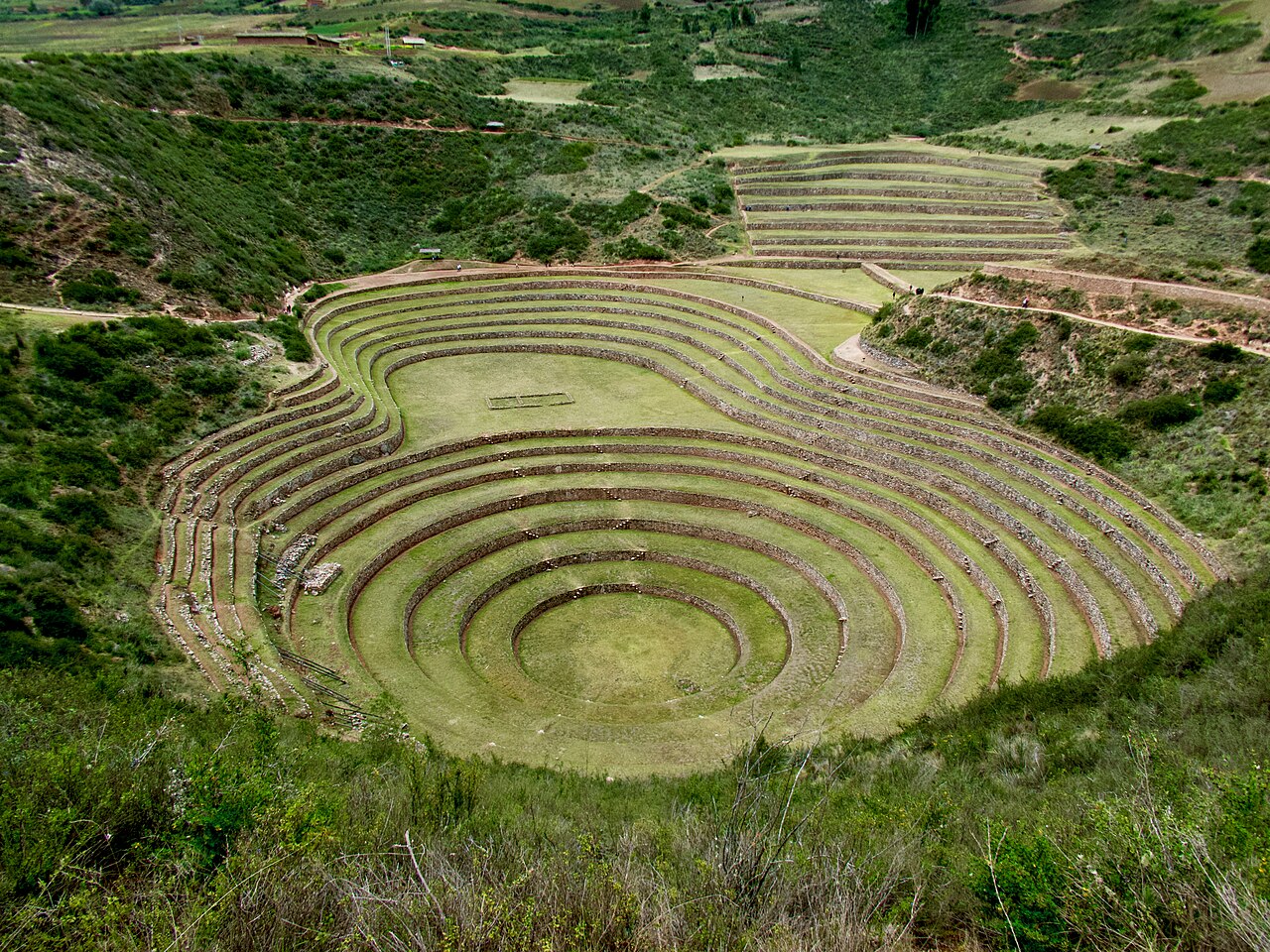 Photo of Moray (3)
