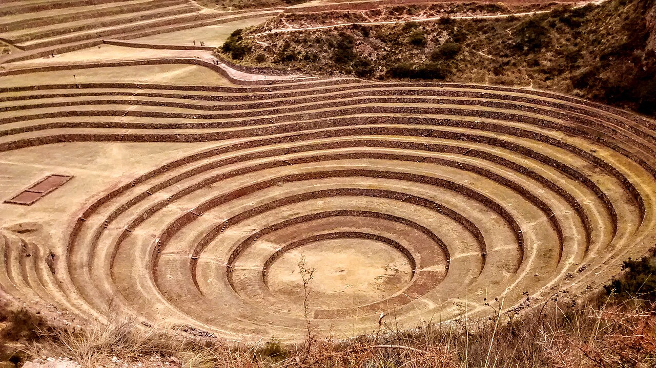 Photo of Moray (4)