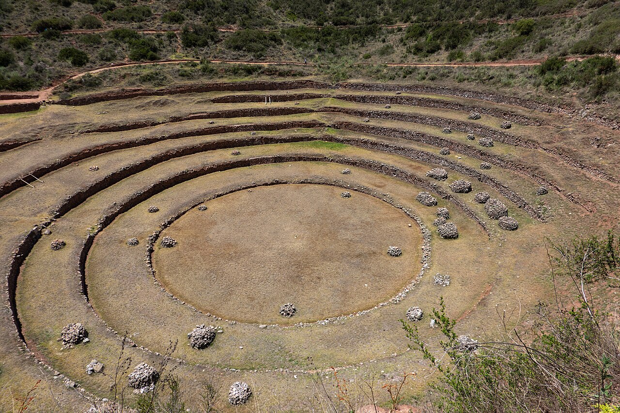 Photo of Moray (5)
