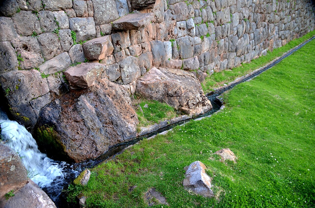 Foto de Tipón (3)