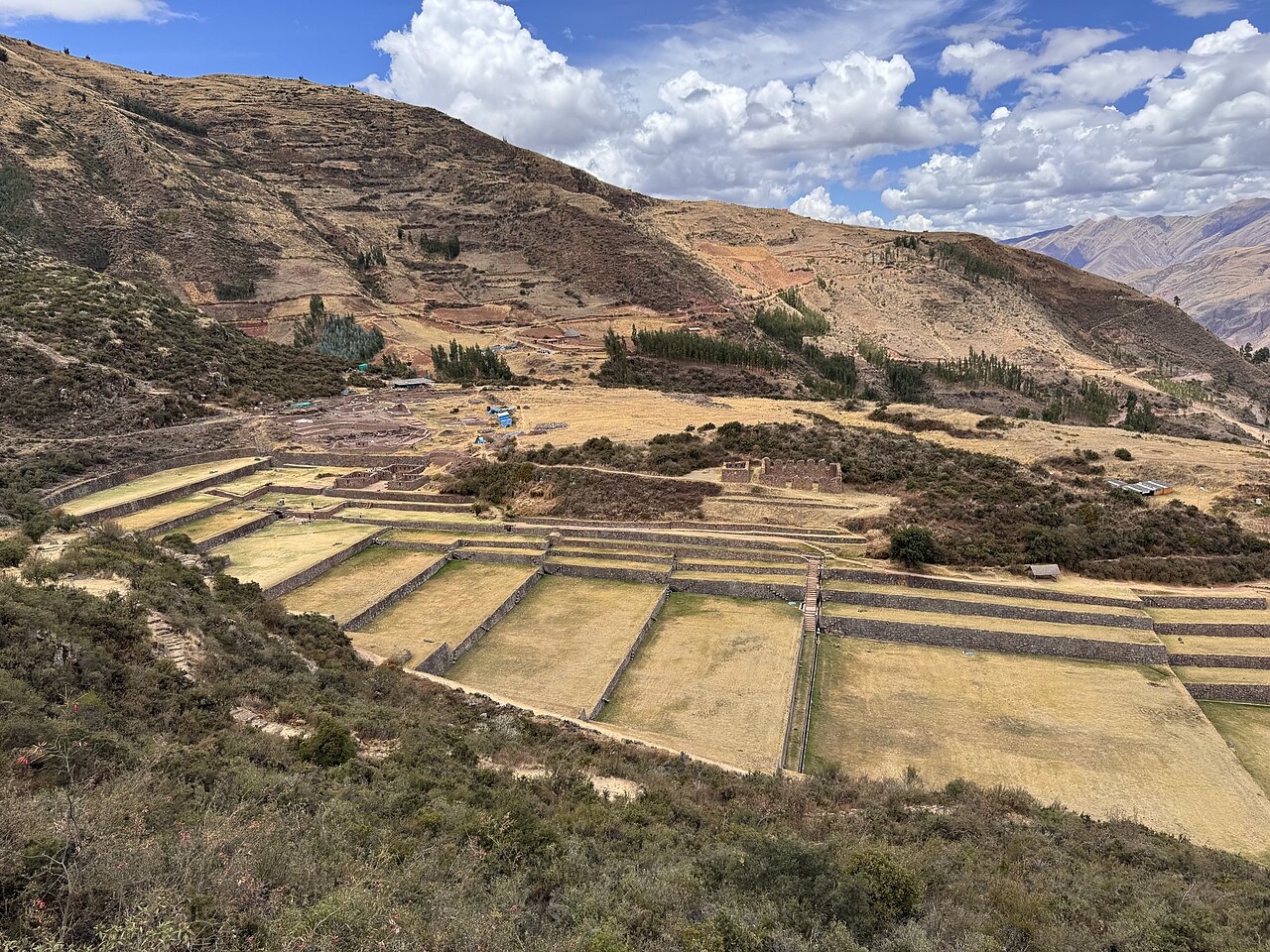 Foto de Tipón (4)