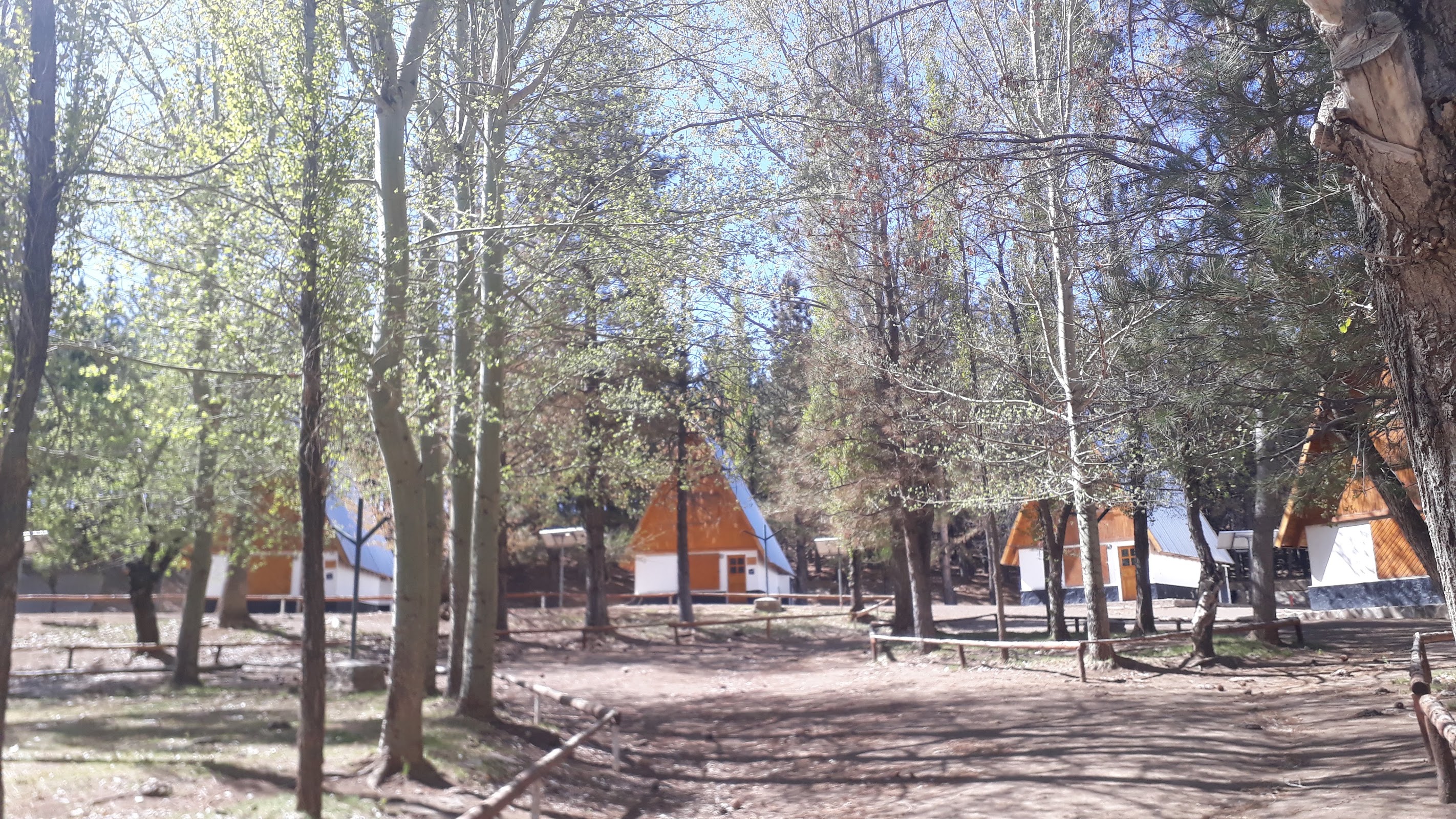 Foto de Complejo turístico Domuyo (5)