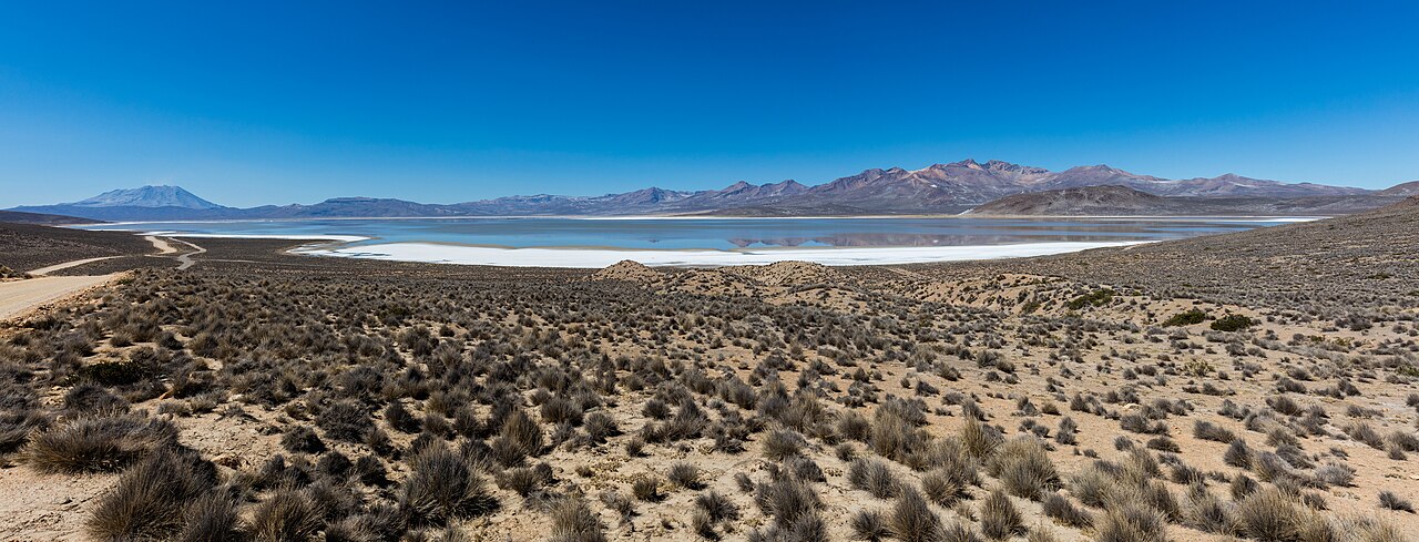Foto de Laguna de Salinas (4)