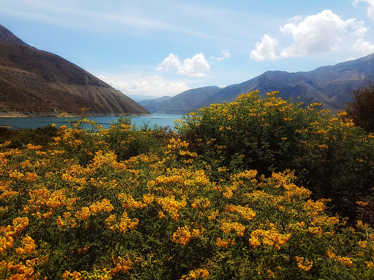 Foto de Laguna Aricota (3)