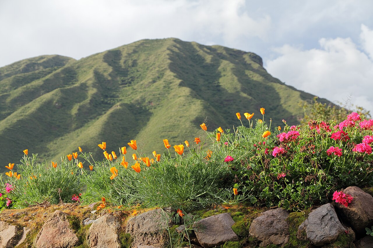 Foto de Valle Sagrado: Pisac → Ollantaytambo por Urubamba (4)