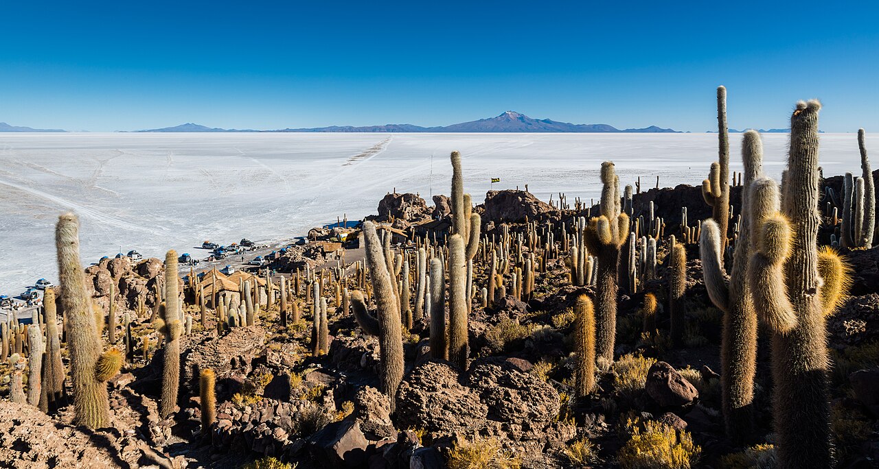 Foto de Salar de Uyuni (3)