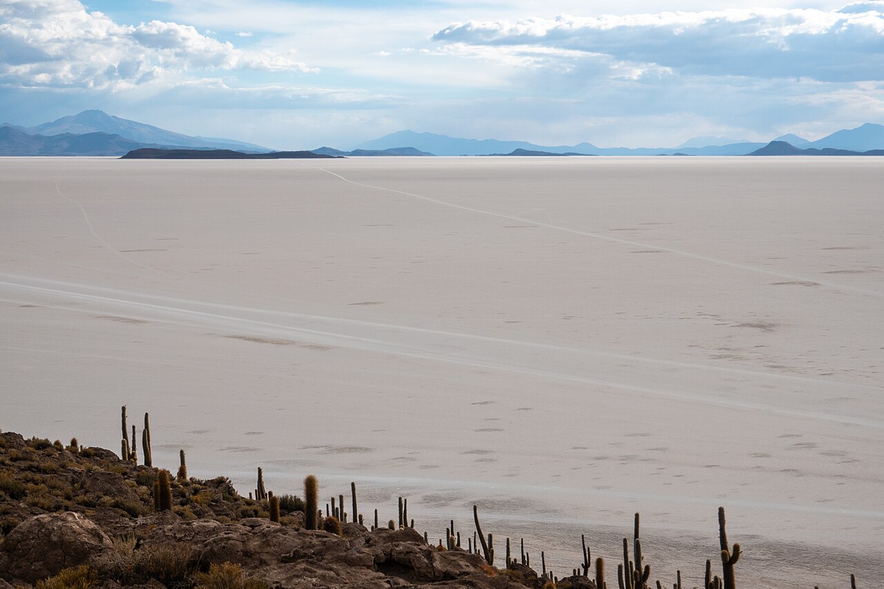Foto de Isla Incahuasi (3)