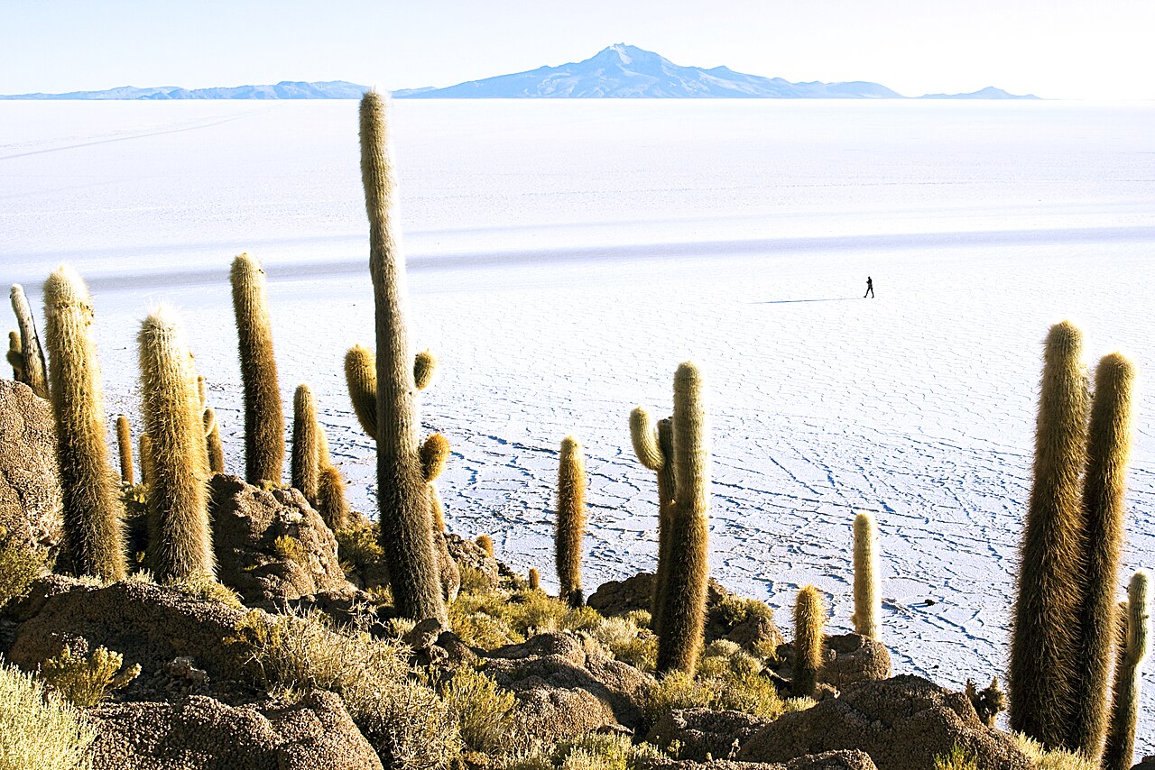 Foto de Isla Incahuasi (5)