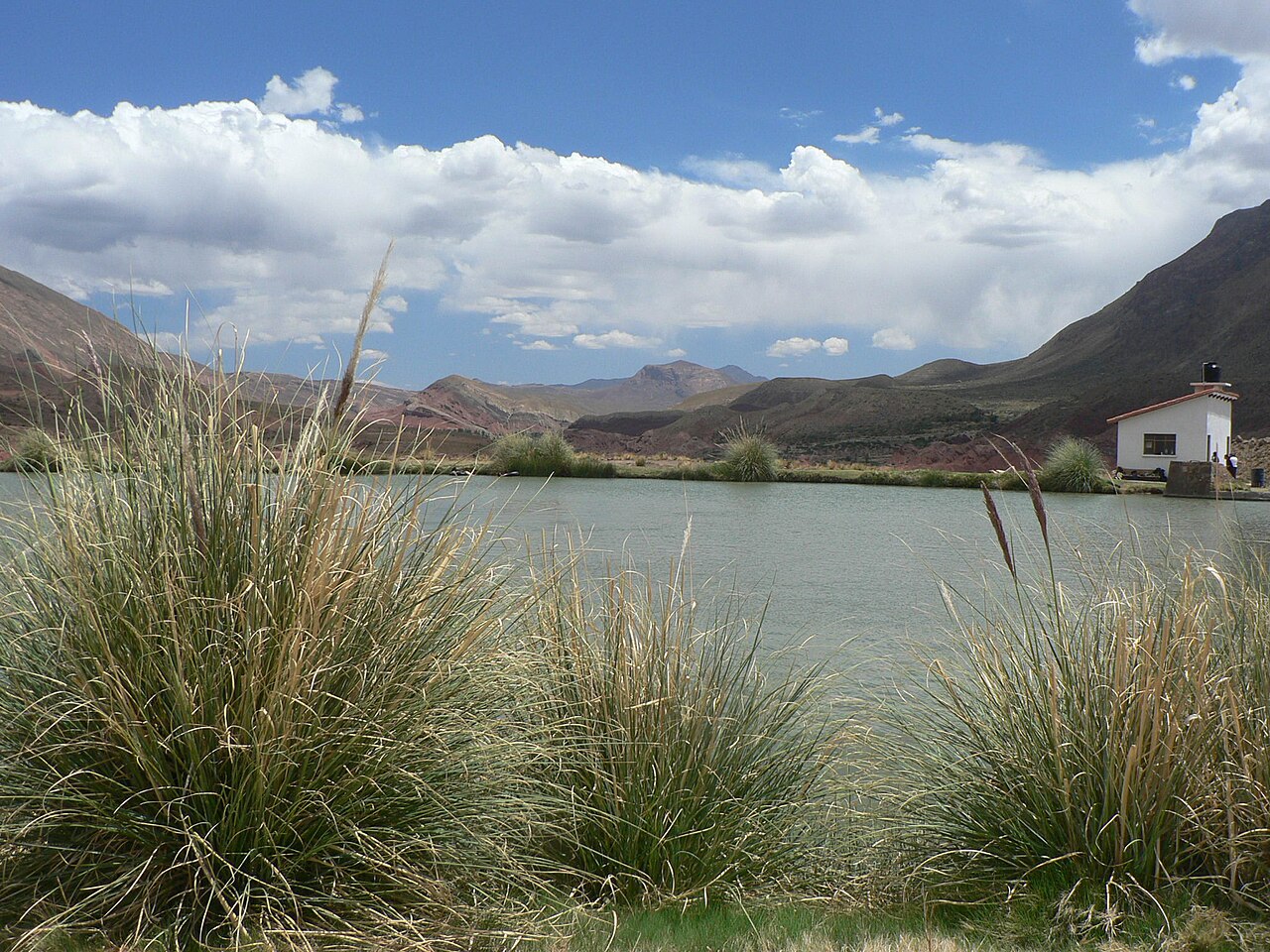 Ojo del Inca