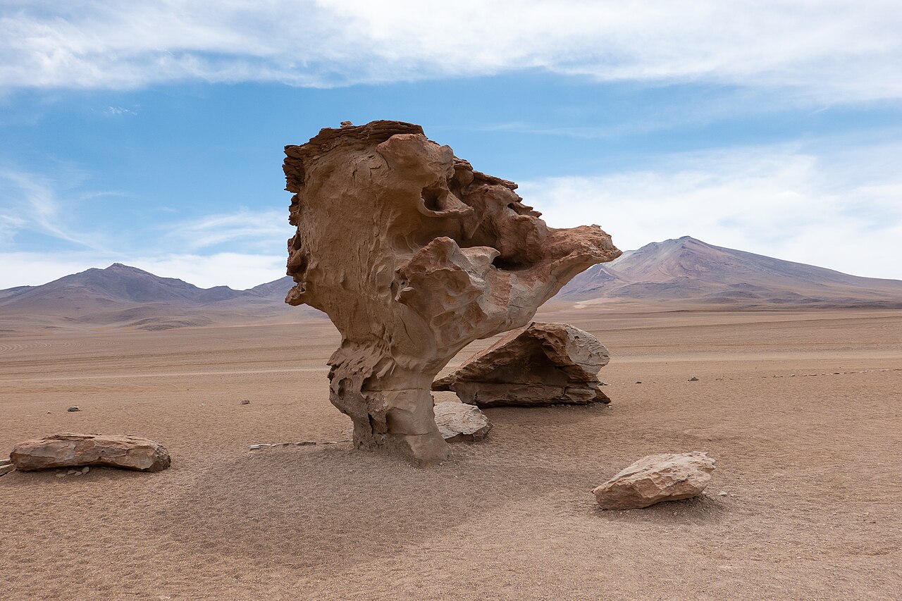 Foto de Árbol de Piedra (5)