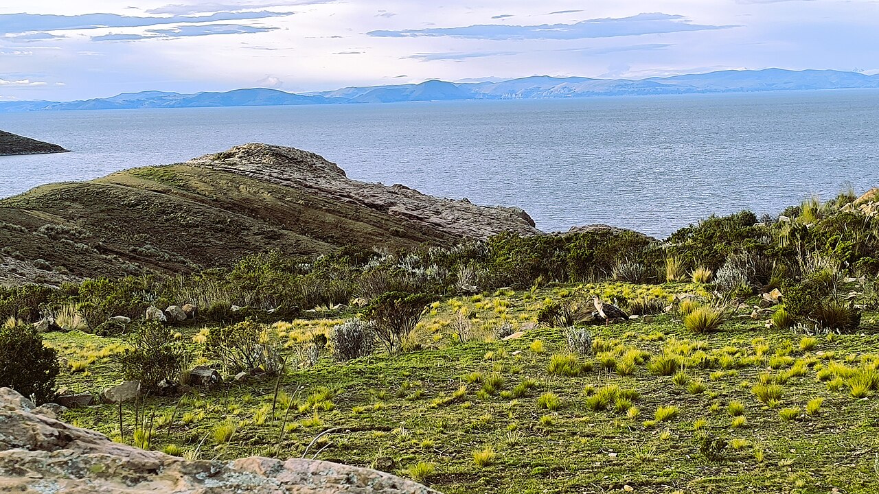Foto de Isla del Sol (3)