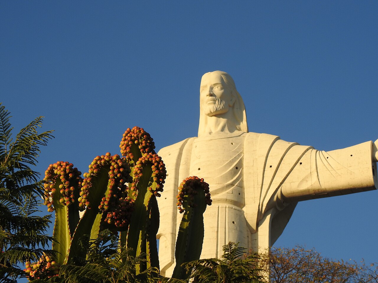 Foto de Cristo de la Concordia (4)
