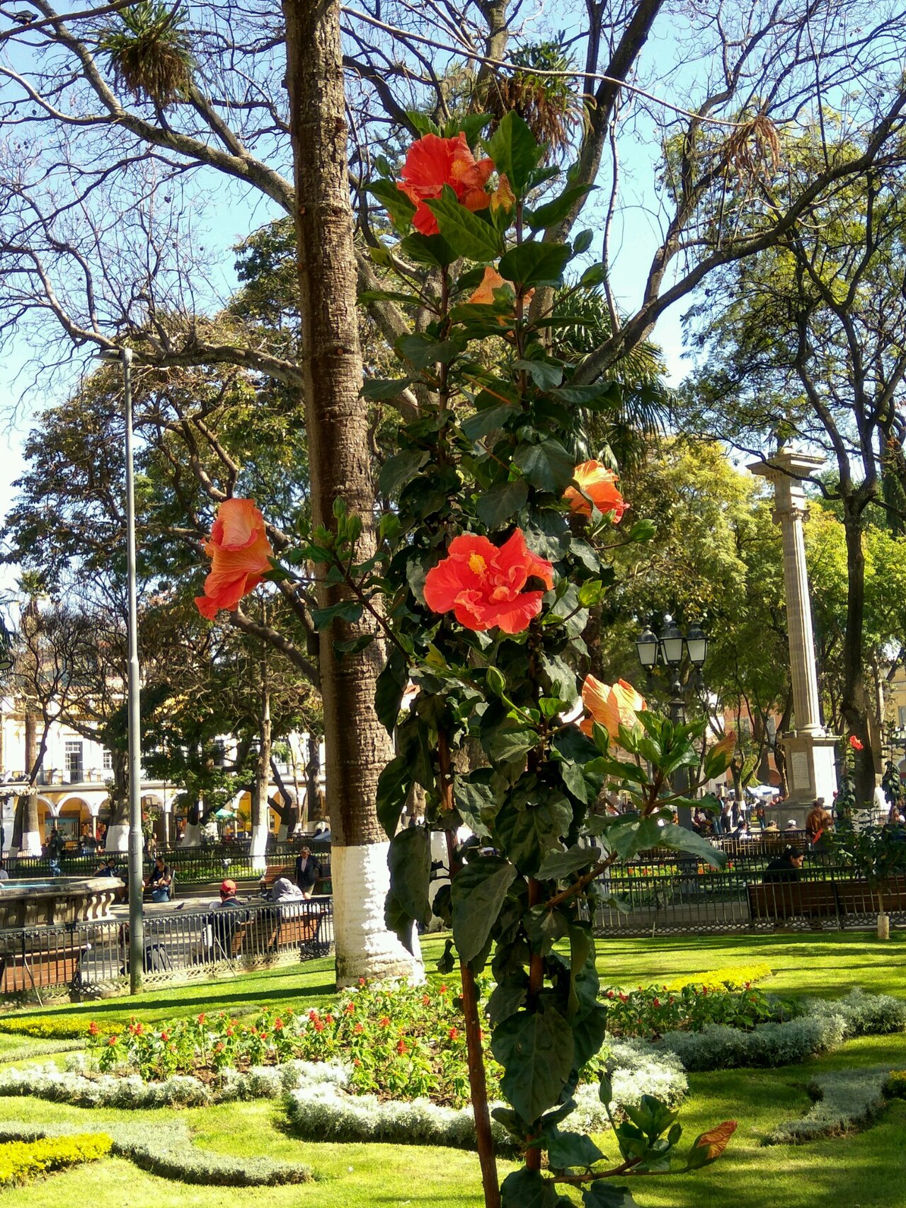 Photo of Plaza 14 de Septiembre (3)