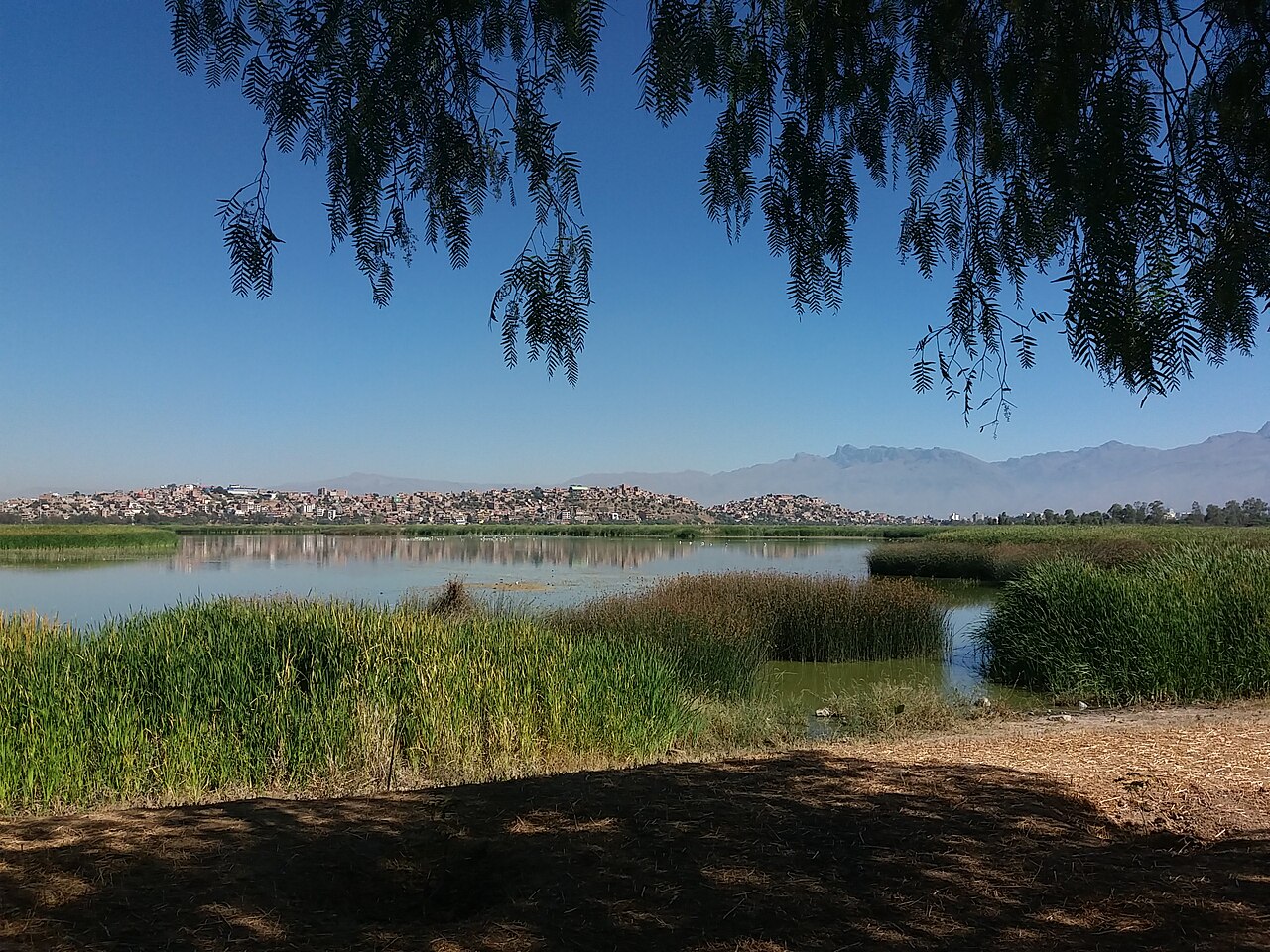 Photo of Laguna Alalay (4)