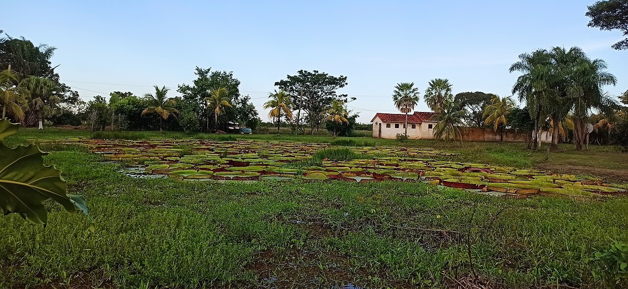 Foto de Laguna Suárez (3)