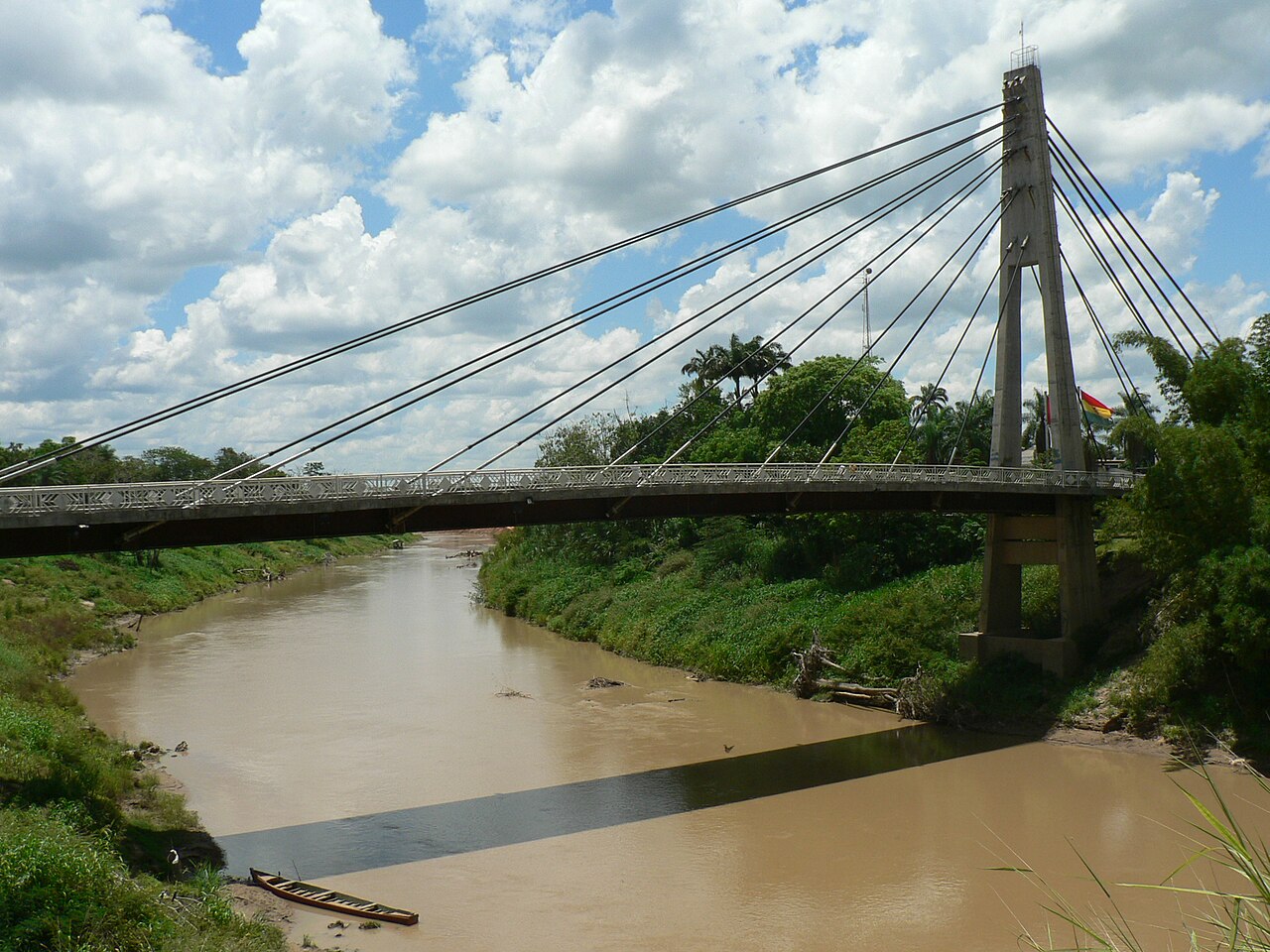 Puente de la Amistad Cobija