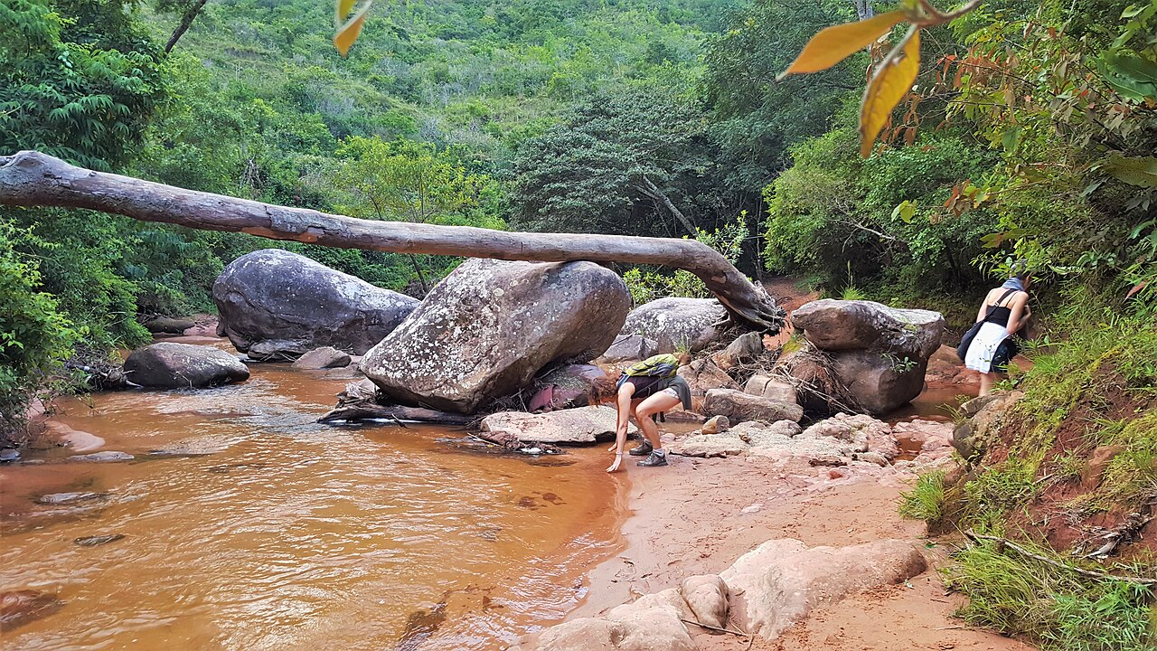 Foto de Ruta 7: Santa Cruz → Samaipata por el valle del Piraí (3)