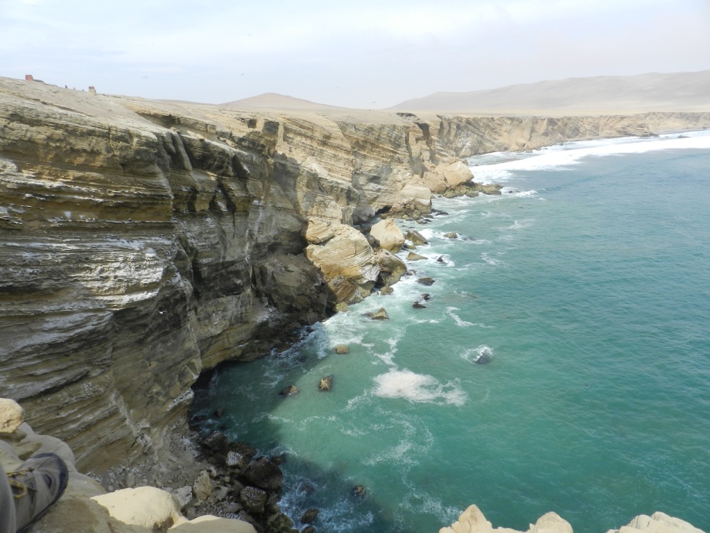 Foto de Reserva Nacional de Paracas (3)