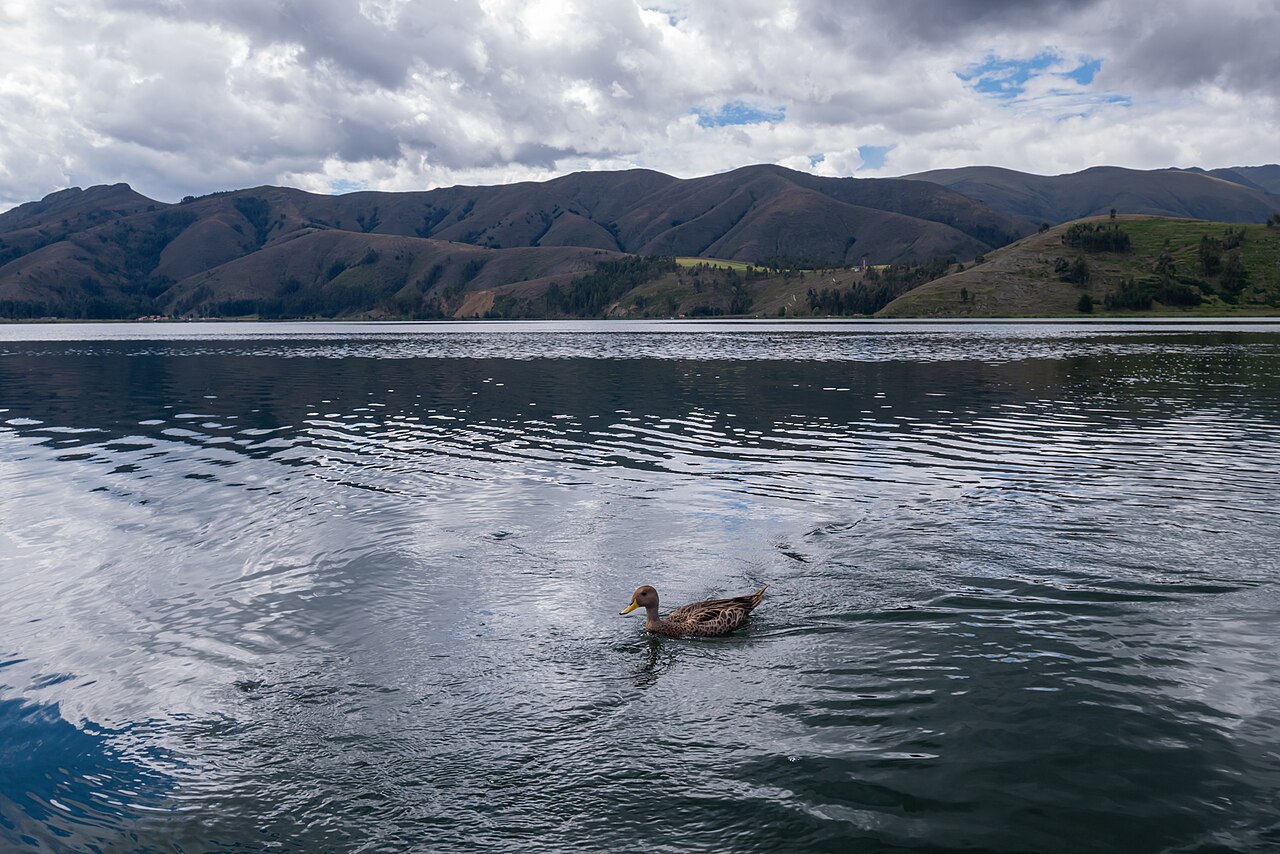Foto de Laguna de Paca (4)