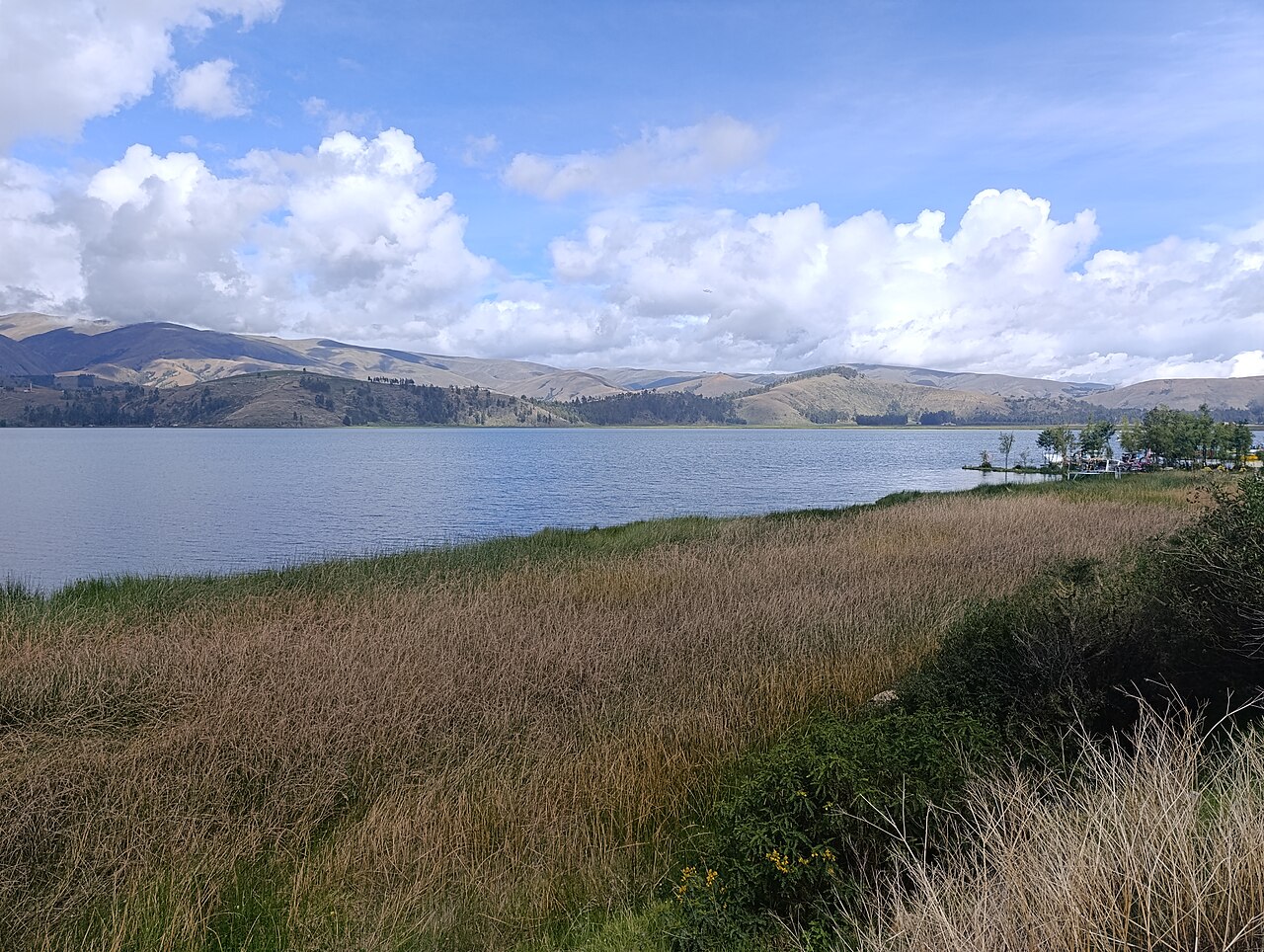 Foto de Laguna de Paca (5)