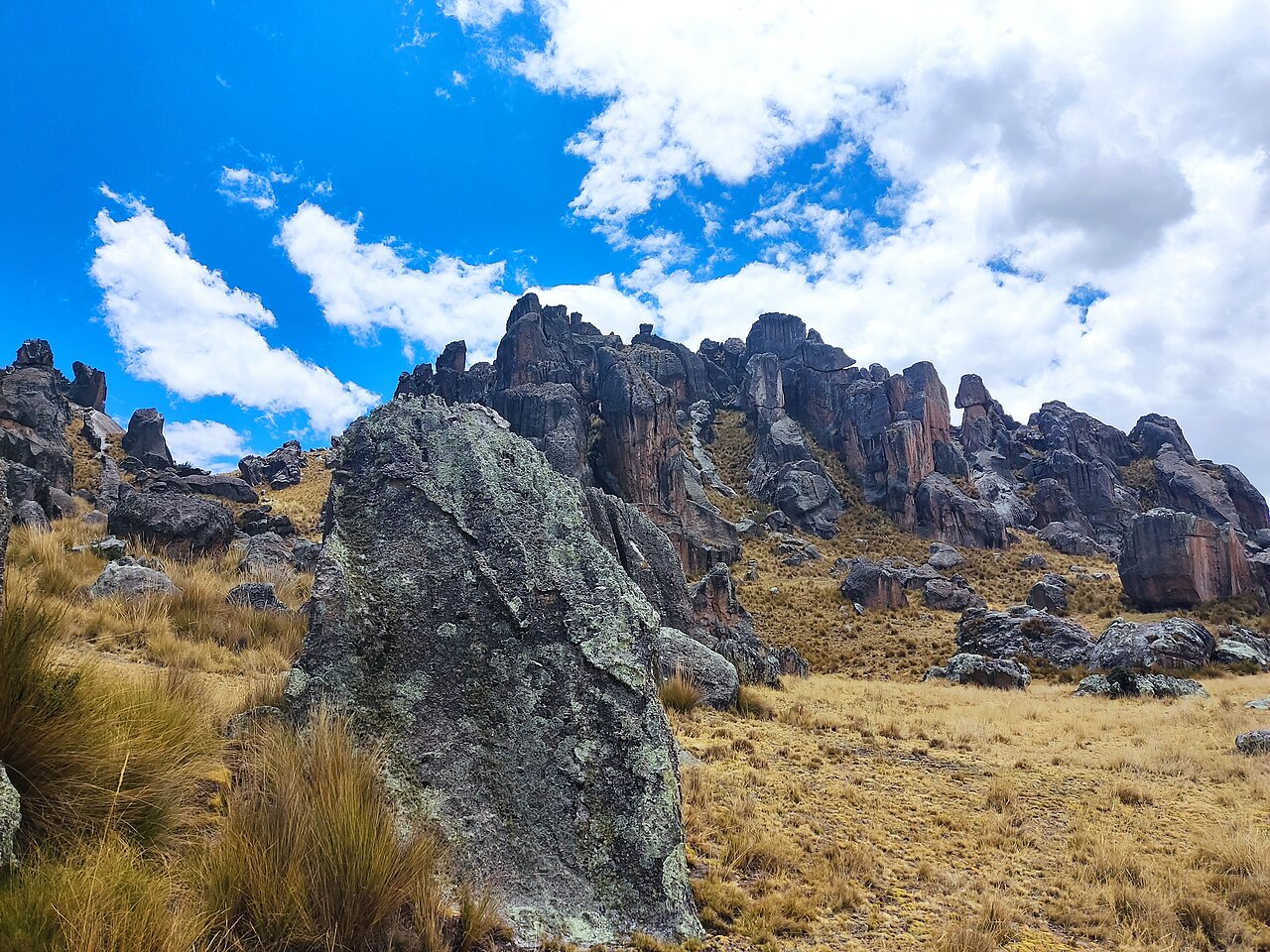 Foto de Bosque de Piedras de Huayllay (2)
