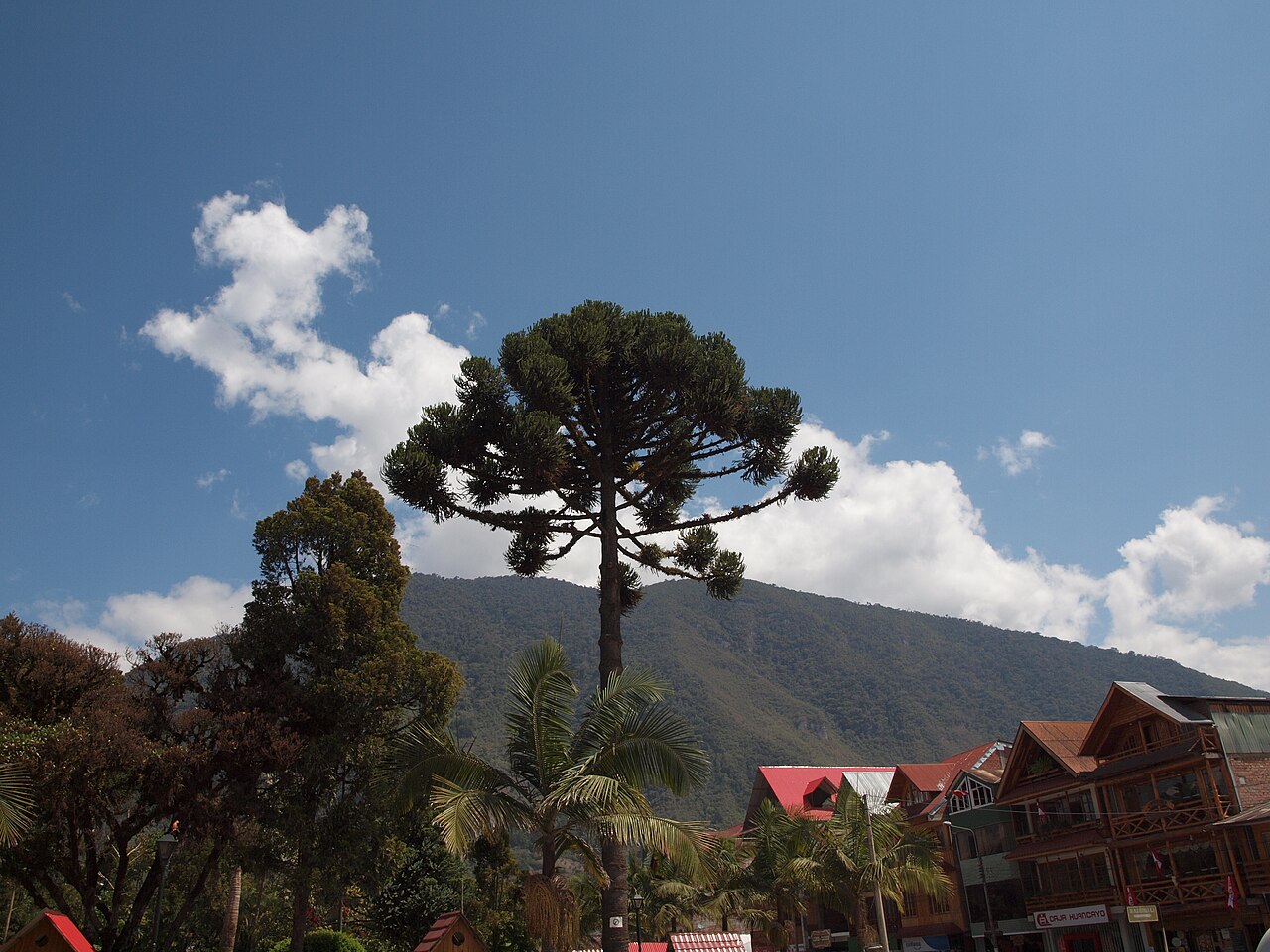 Foto de Plaza de Oxapampa (4)