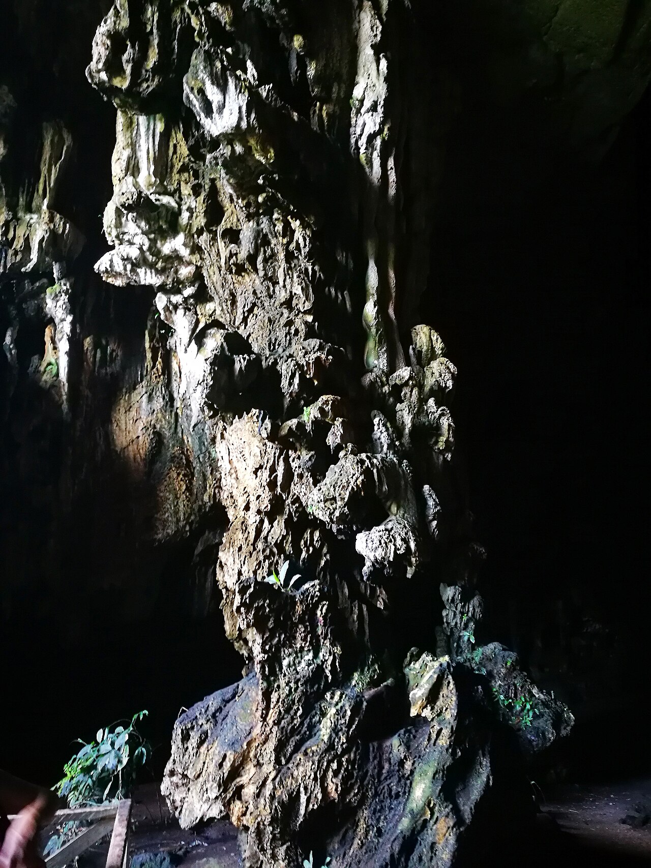 Foto de Cueva de las Lechuzas (3)