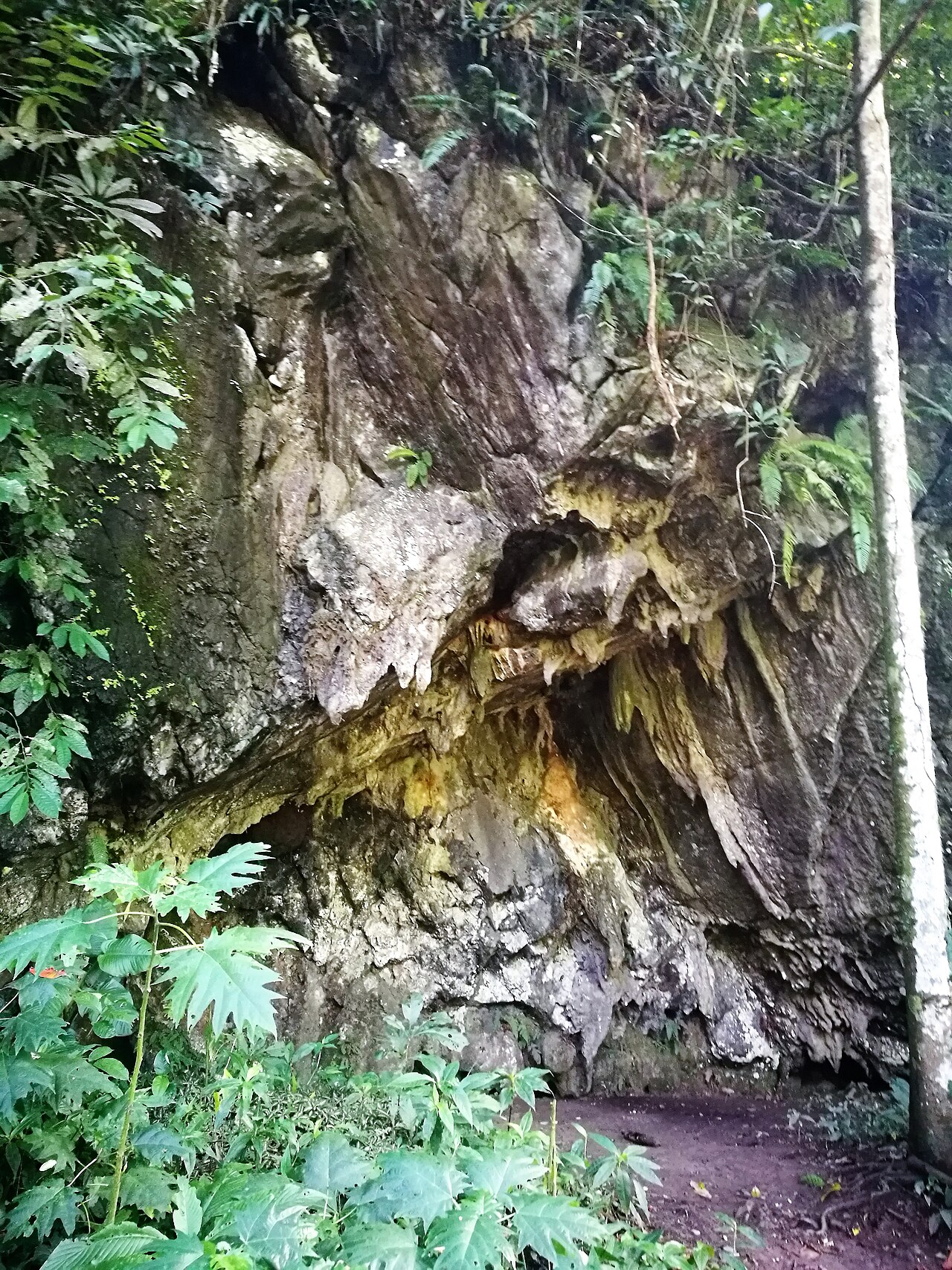 Foto de Cueva de las Lechuzas (5)