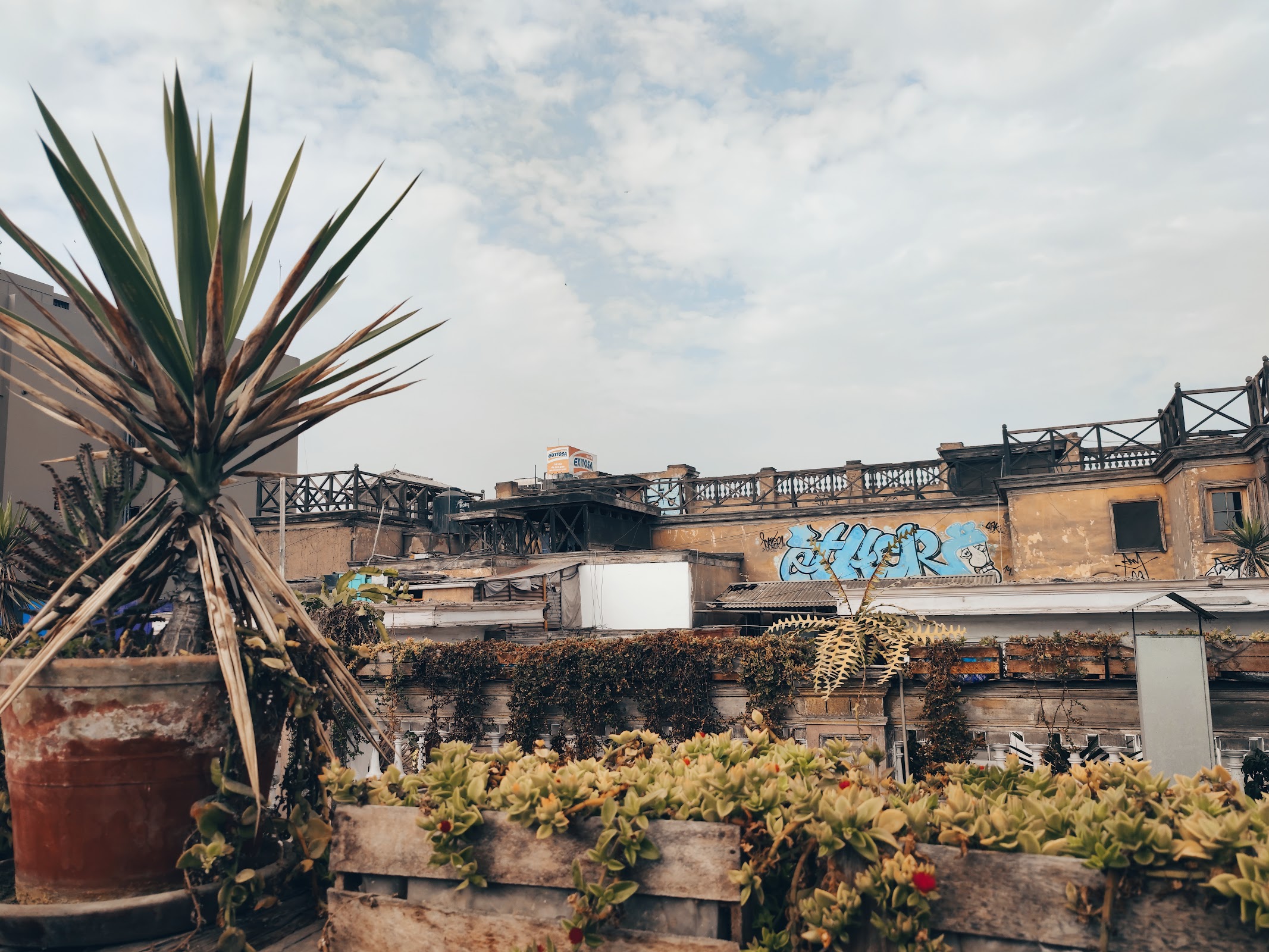 1900 Backpackers Hostel