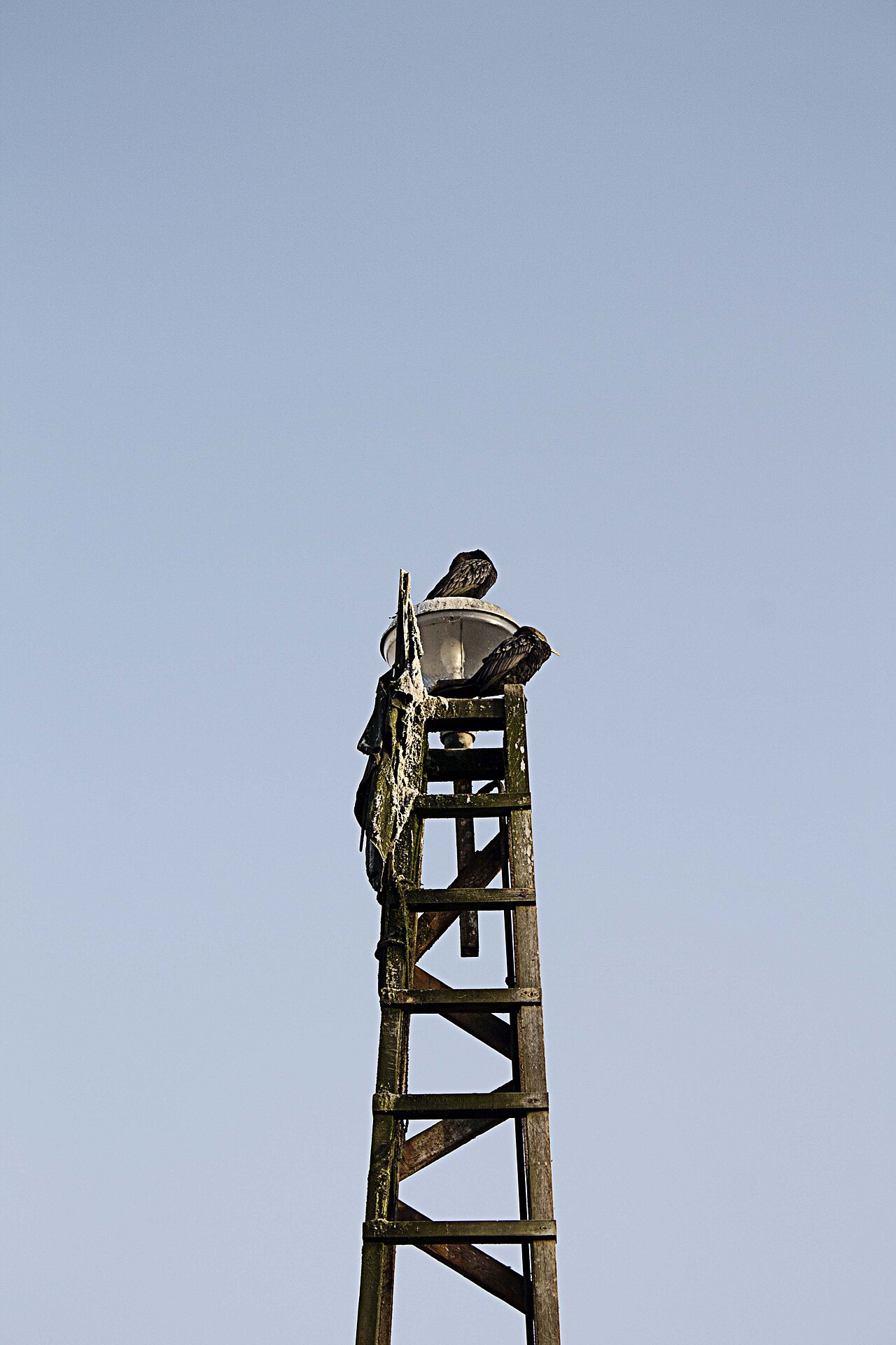 Photo of Muelle de Pimentel (3)