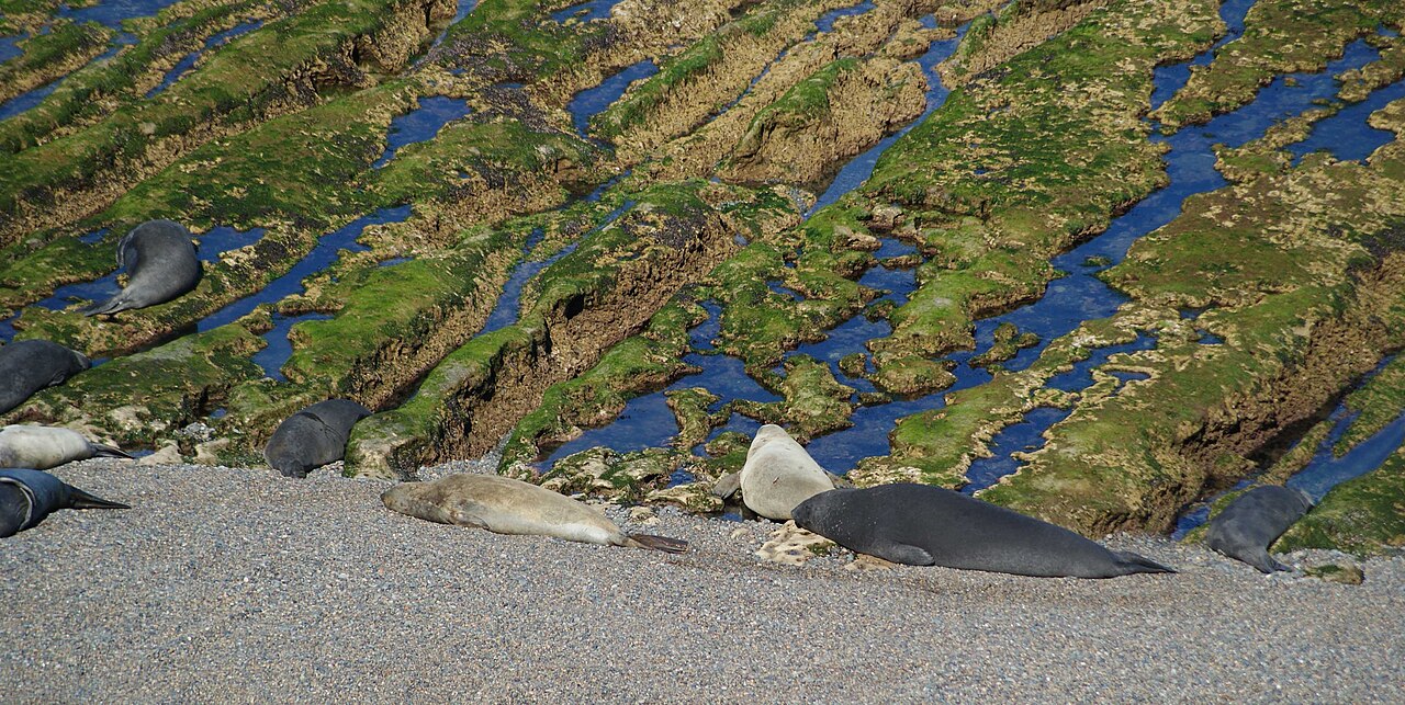 Foto de Playa de Lobitos (3)