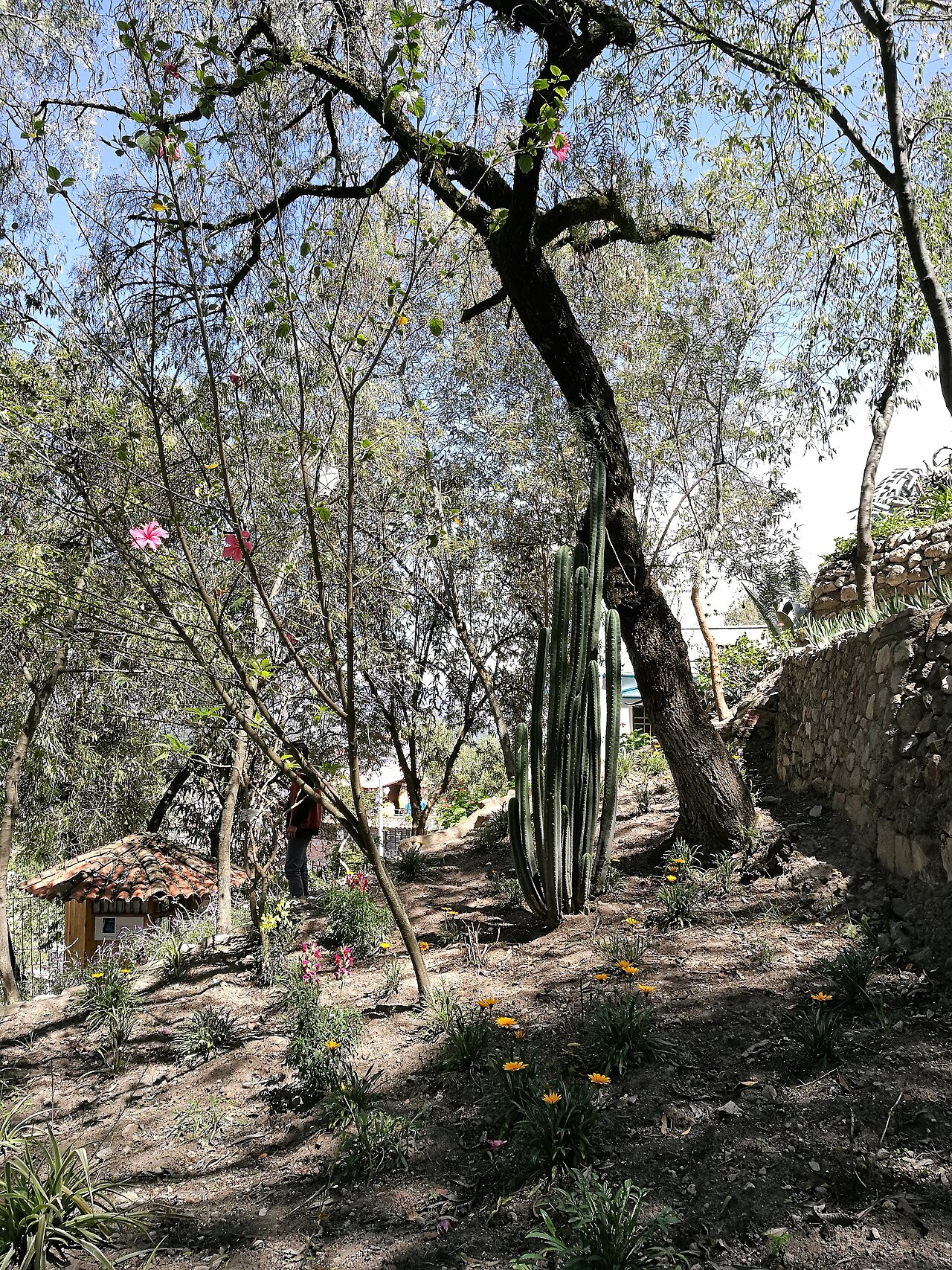Foto de Cerro Santa Apolonia (3)